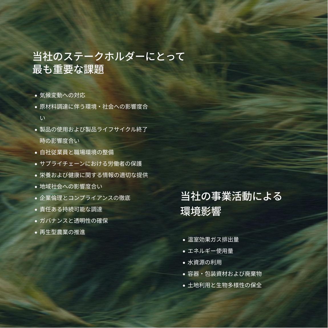 Text on an image of moving long grass in 2 parts, one with the headline "what matters most to our stakeholders", and the other "where our environmental impacts fall"