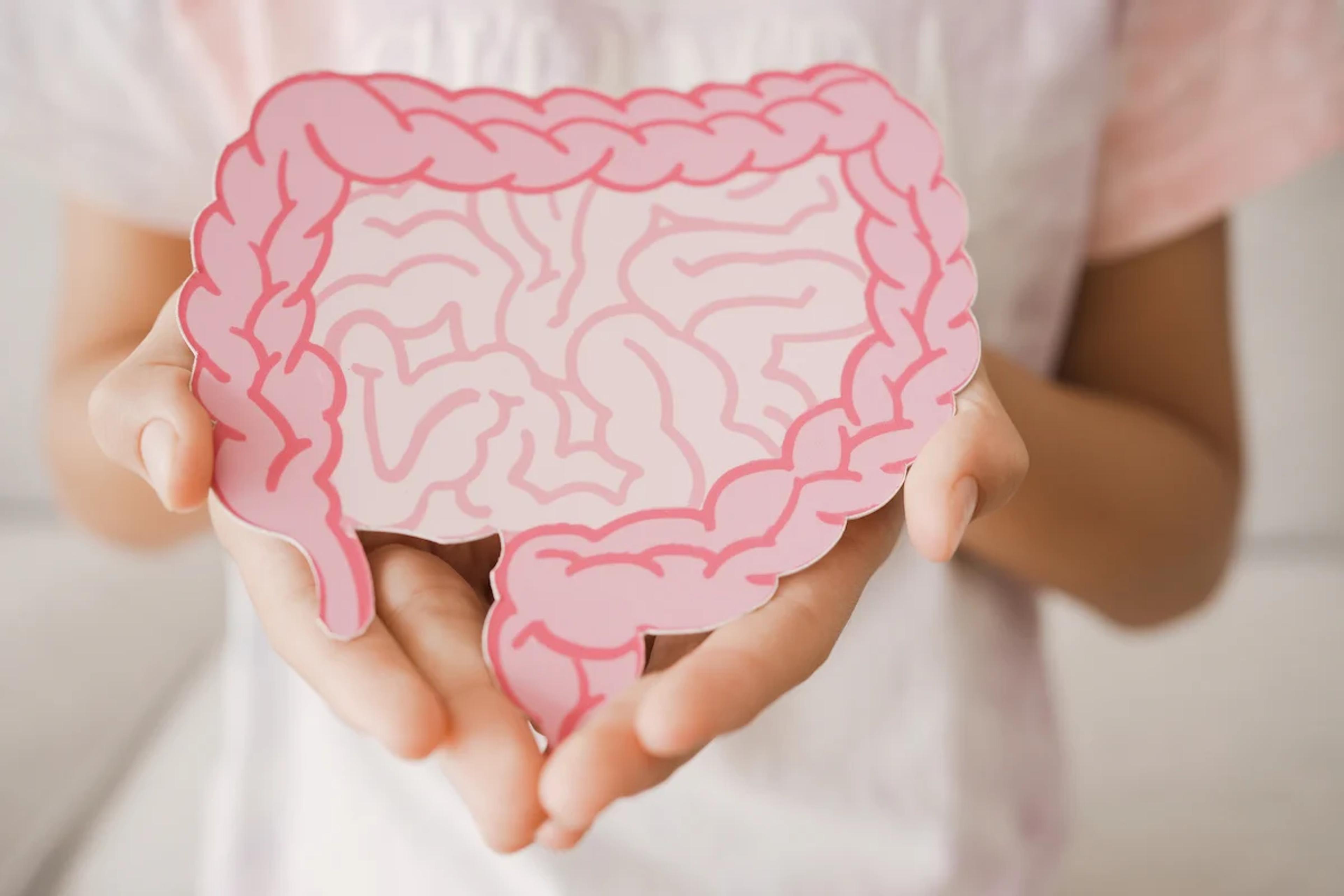 Person holding a brain made of card in two hands