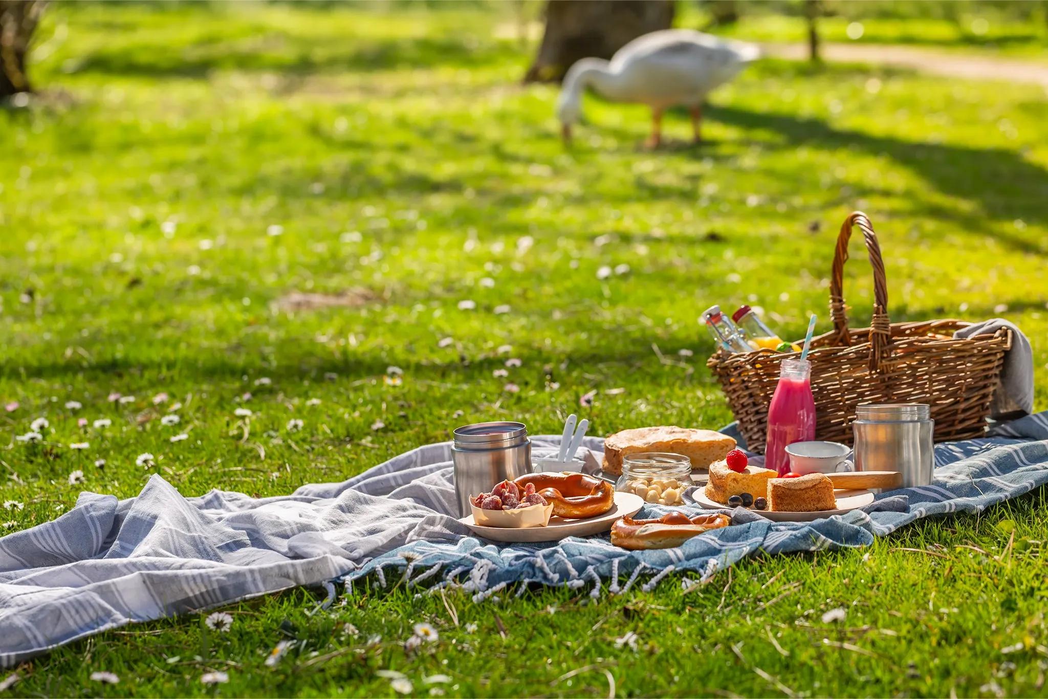 a picnic basket and food on a picnic blanket on grass outside with a goose in the background