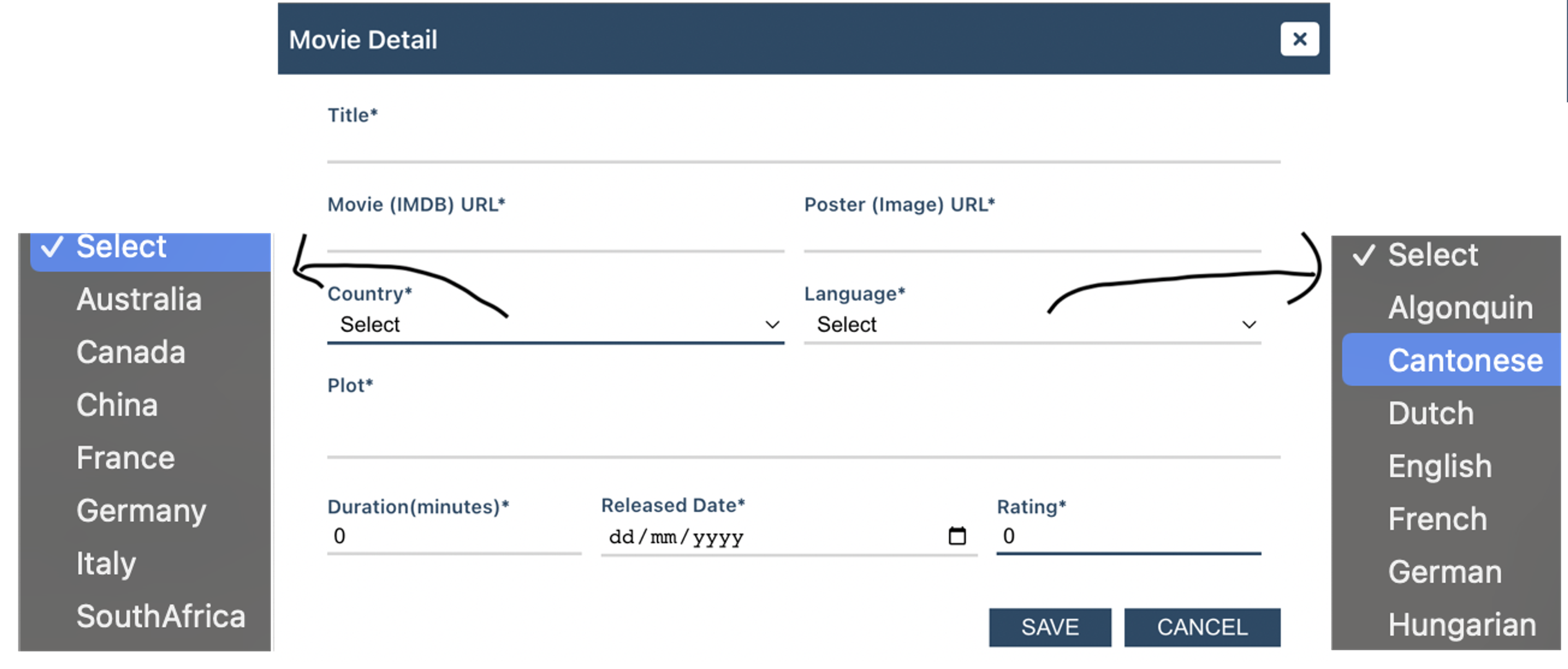 movie interface language selection