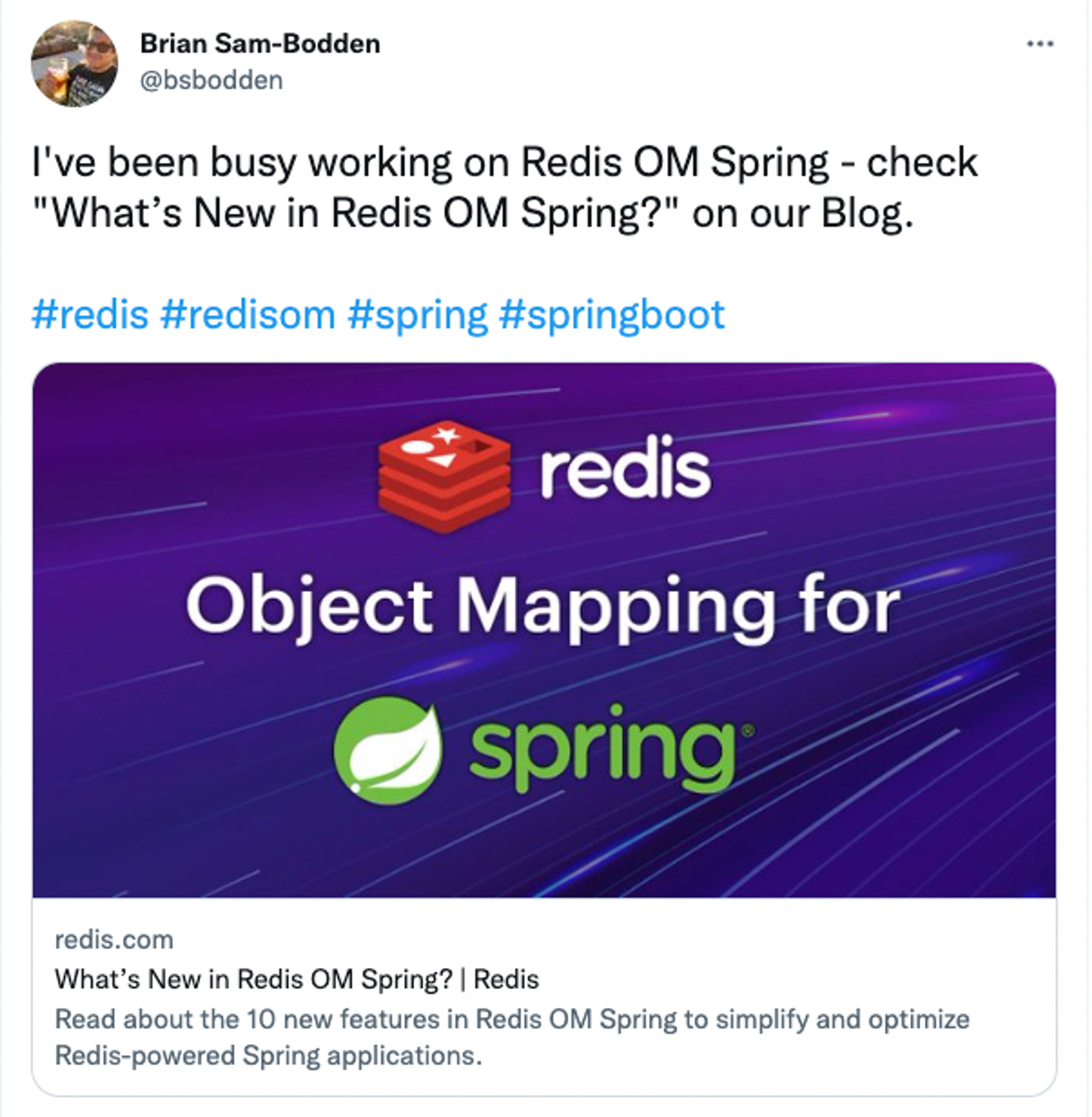 Brian Sam-Bodden blog share on twitter