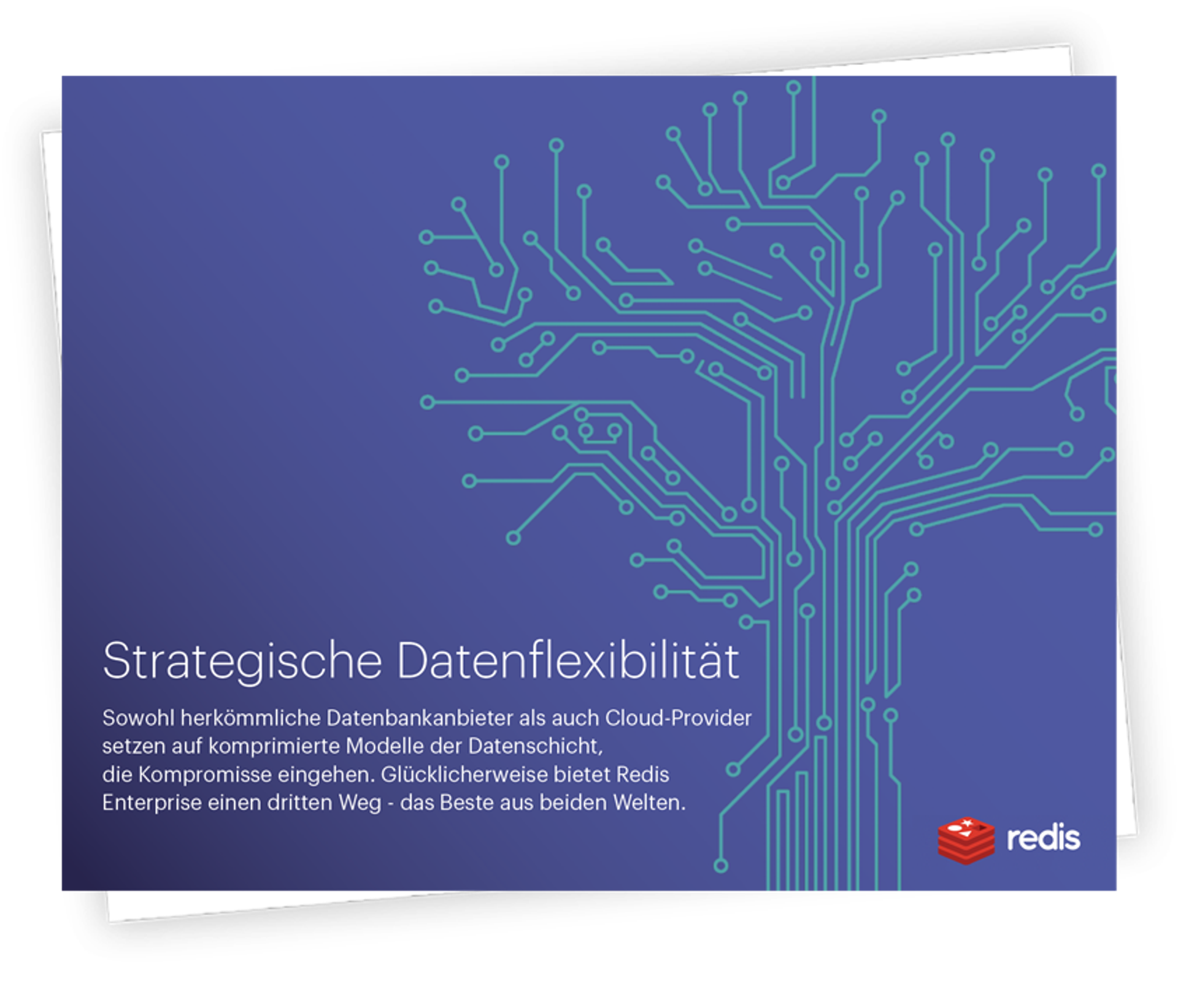 Flexibilität bei geschäftskritischen Daten