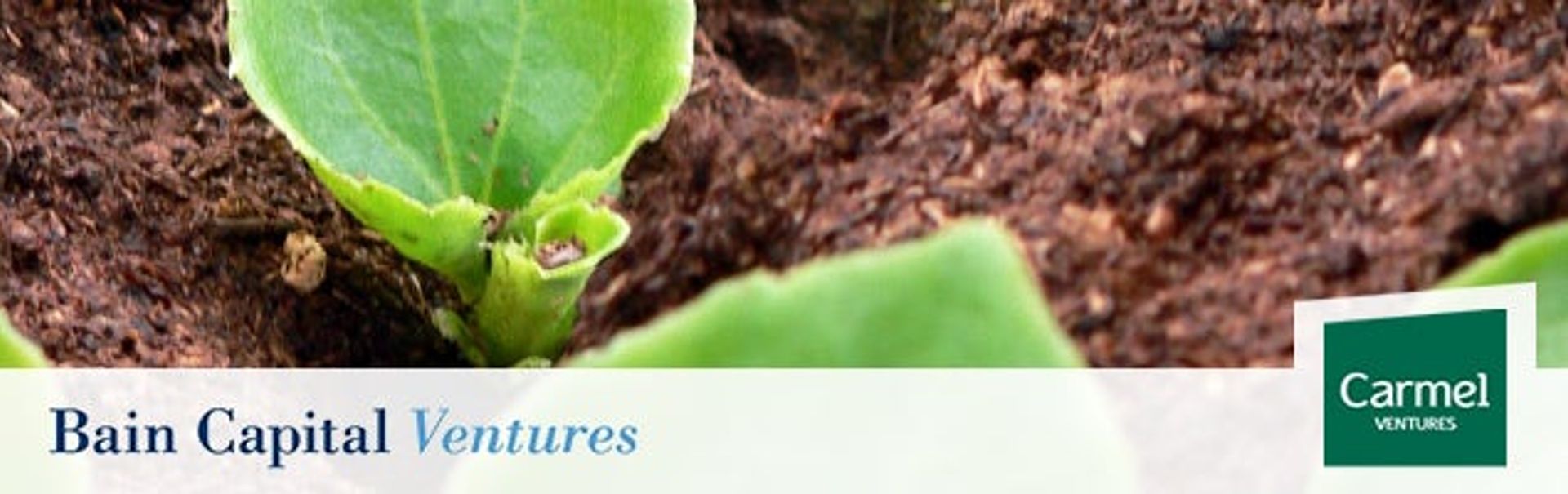 Blog tile image
