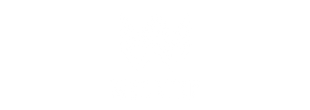 Wysetek logo