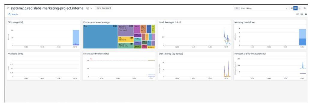 Datadog dashboard showing system metrics for the second host