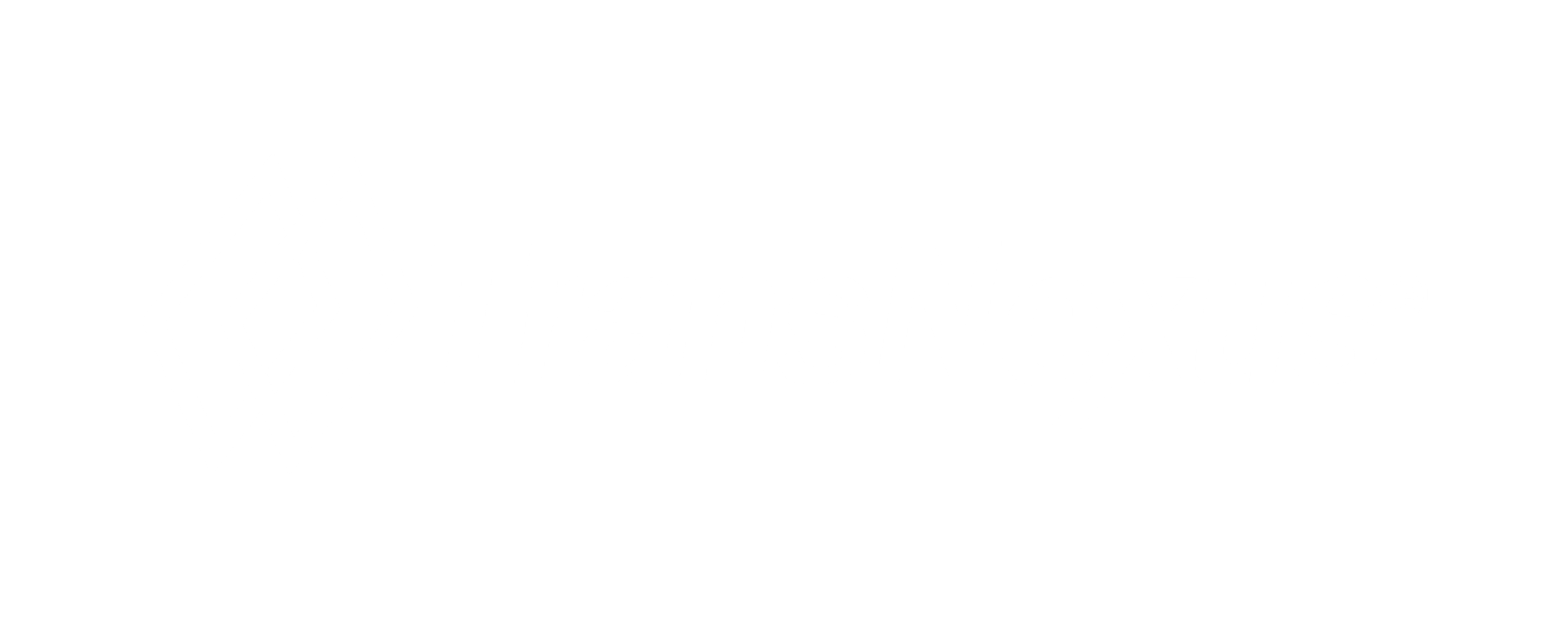 TransNexus