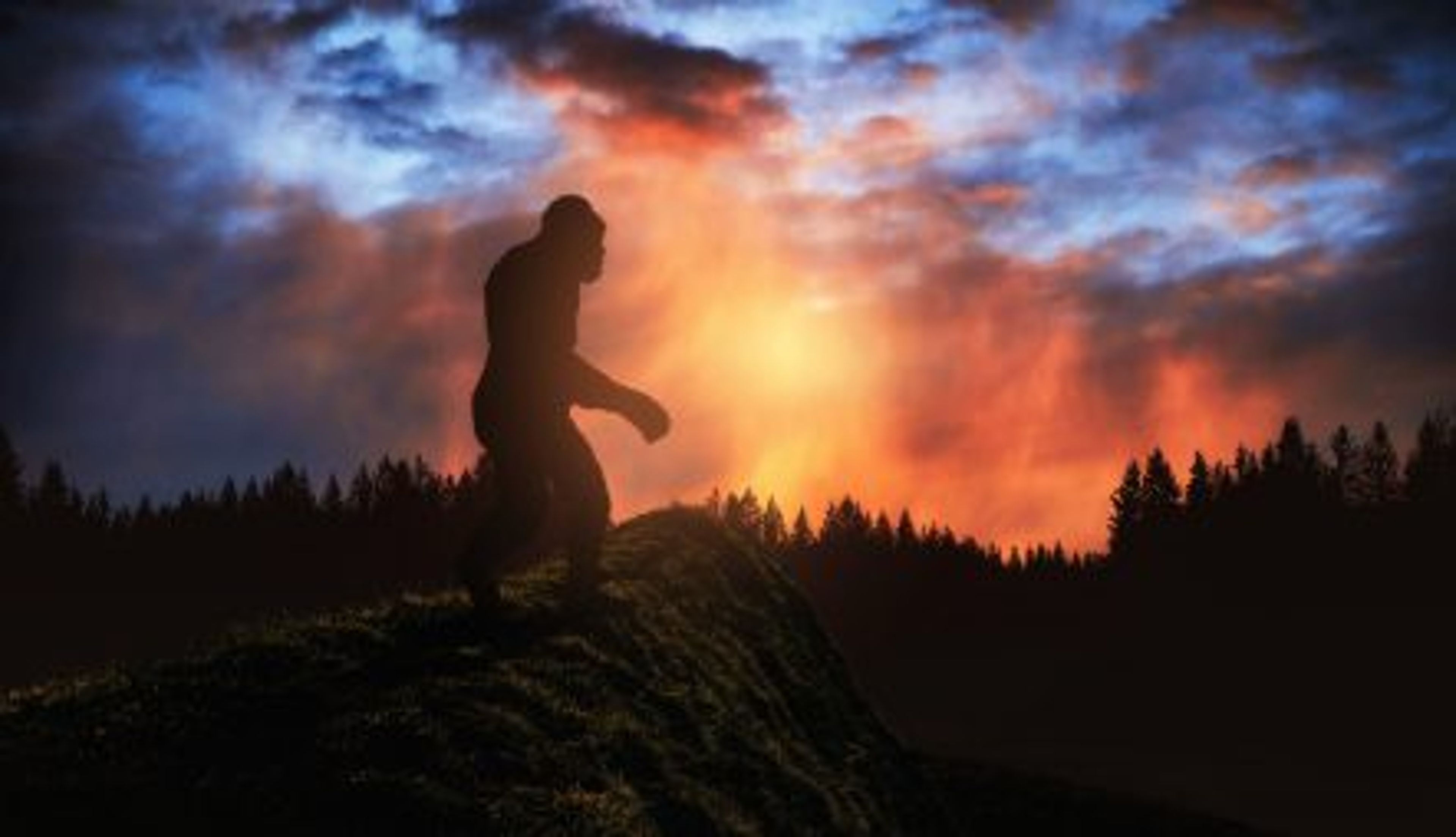 Bigfoot really exists