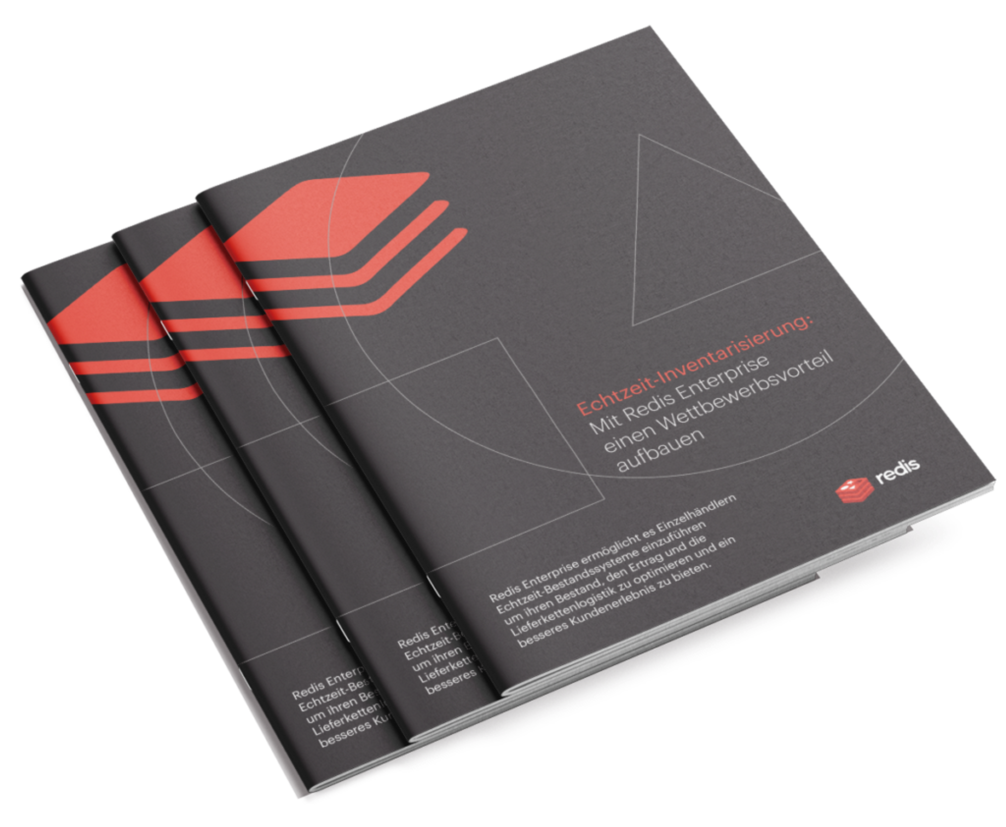 Echtzeit-Inventarisierung e-book