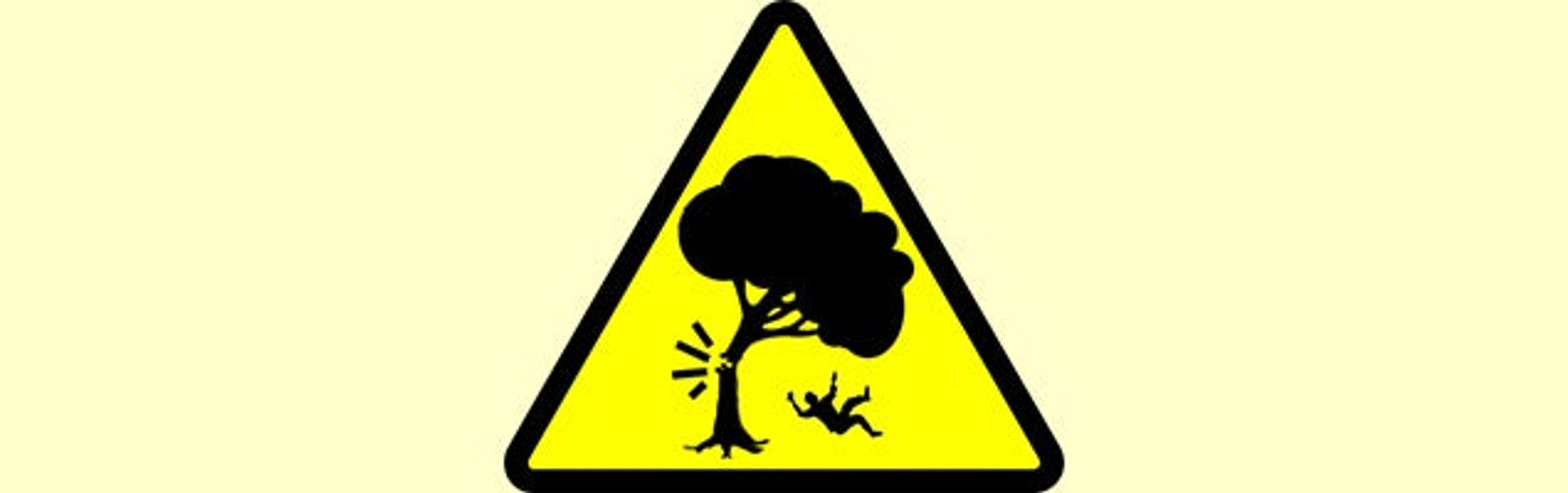 Beware of falling limbs!