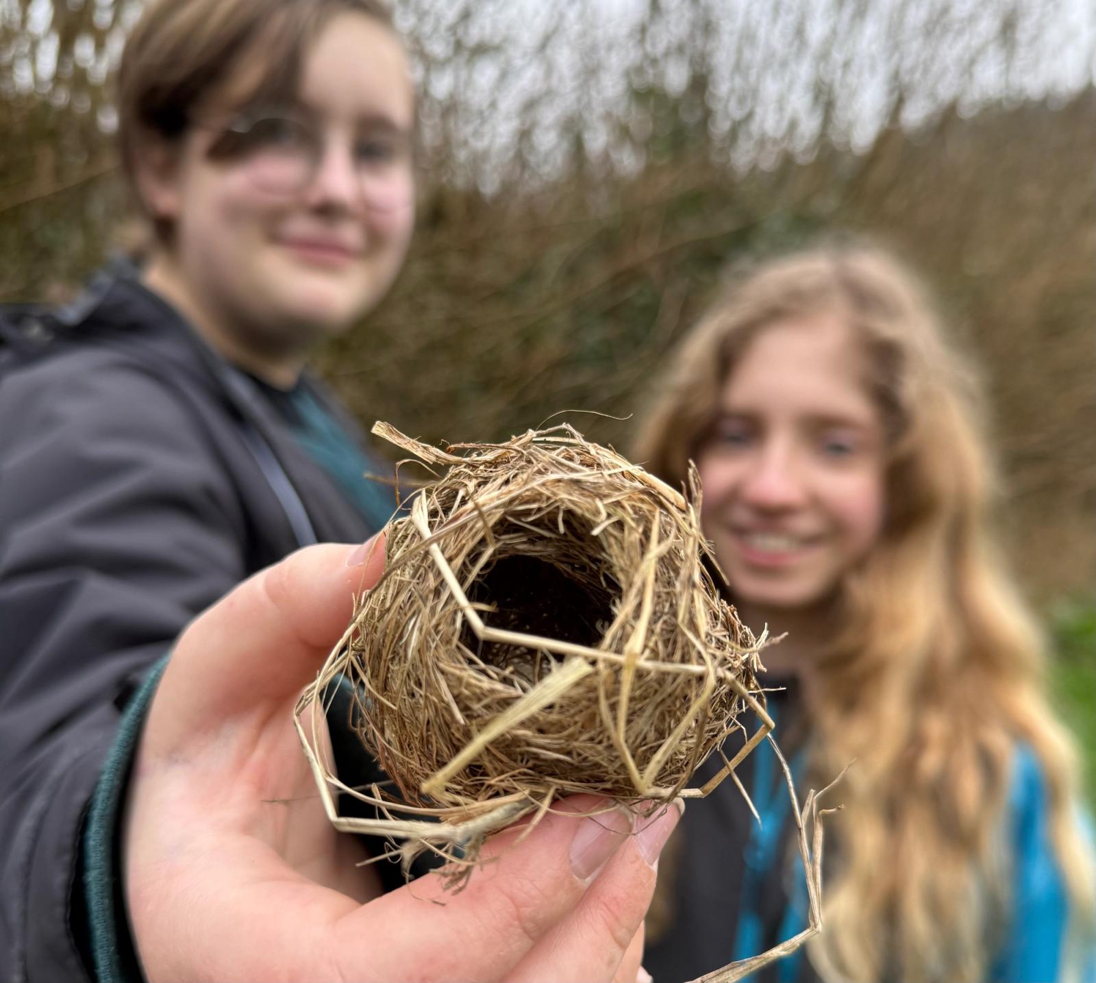 Nest!