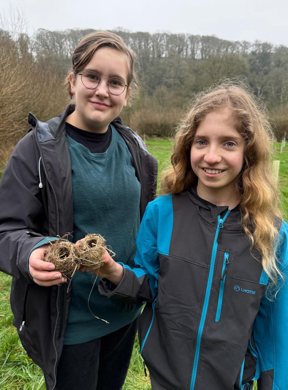 Emily and Eva Harvest Mouse nests