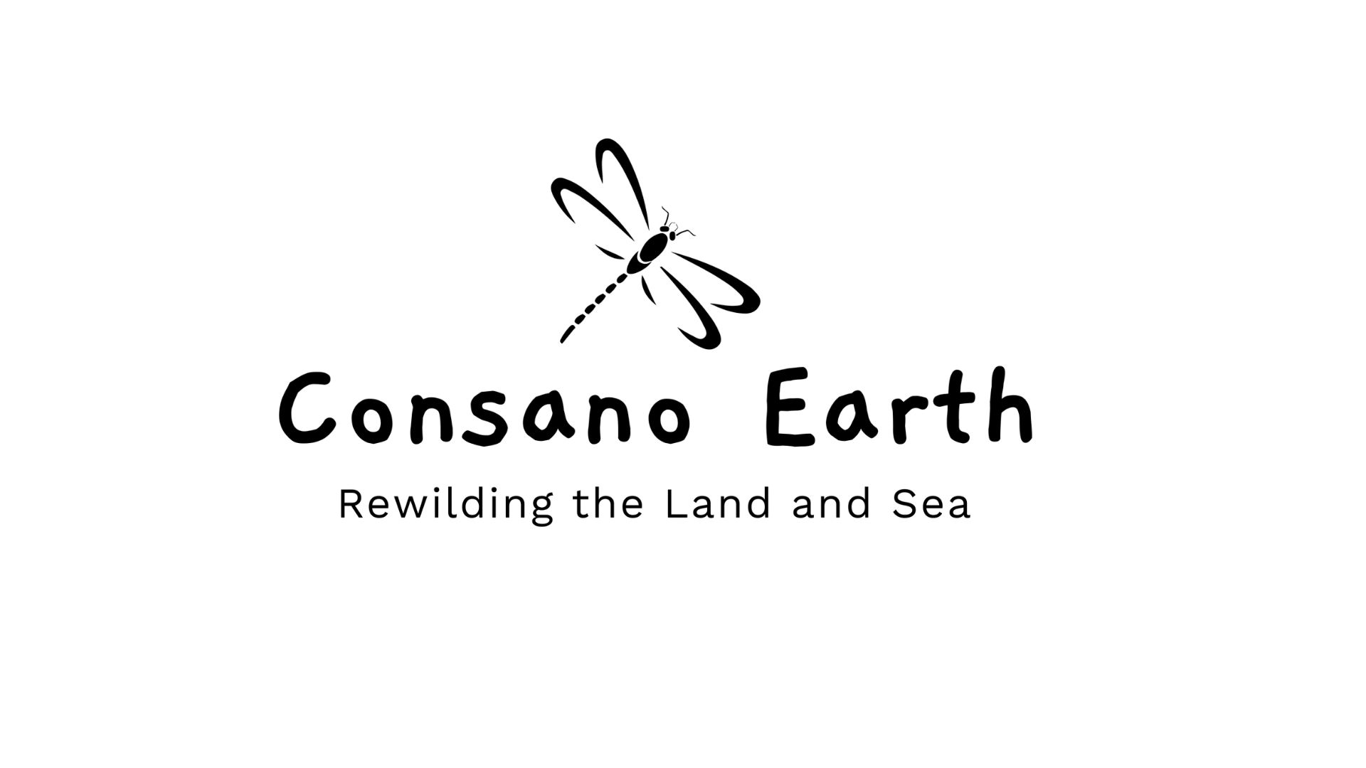 Consano Earth