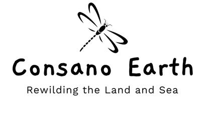 Consano Earth