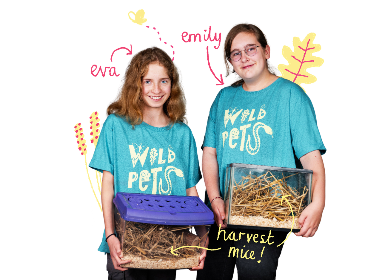 Eva and Emily with their harvest mice