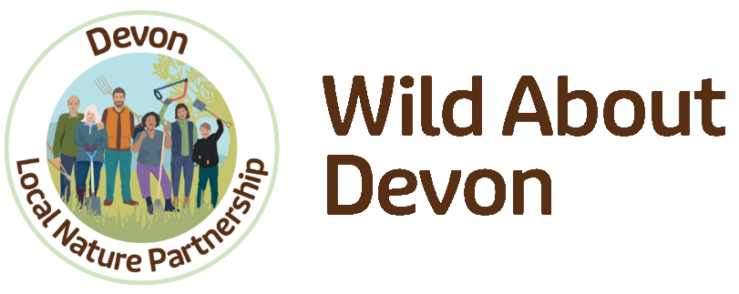 Wild About Devon