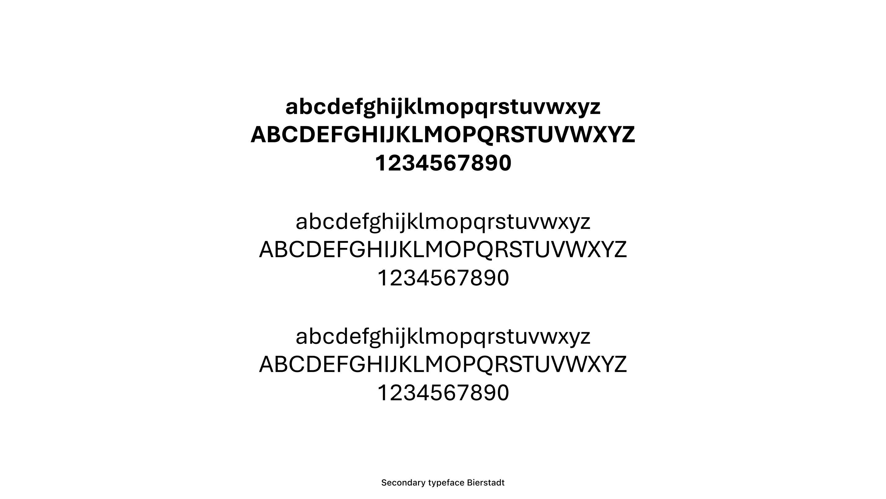 Branding - Crocï collective final font choice