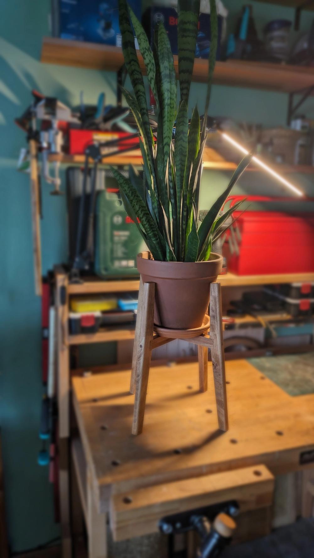 Plant stand 