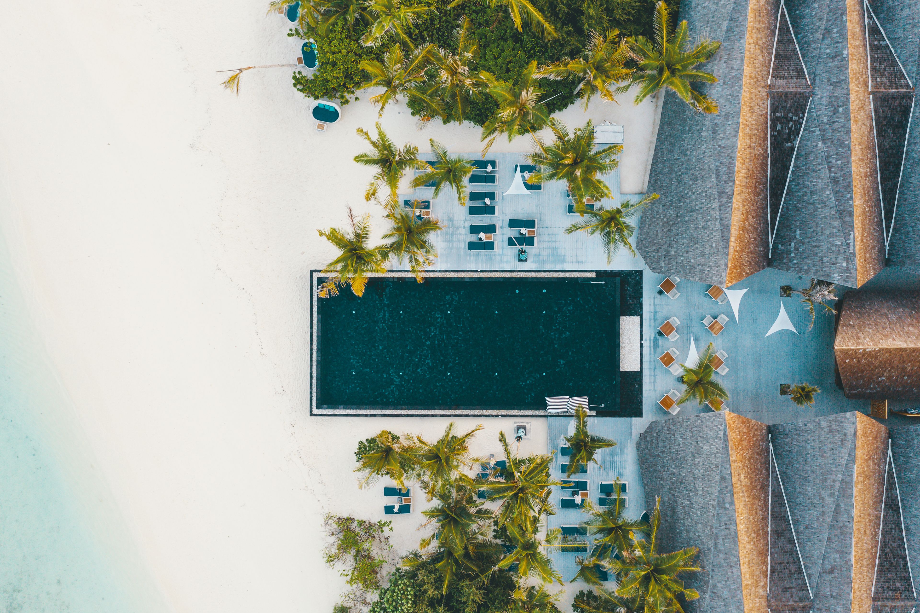 an aerial view of a swimming pool surrounded by palm trees on a beach .