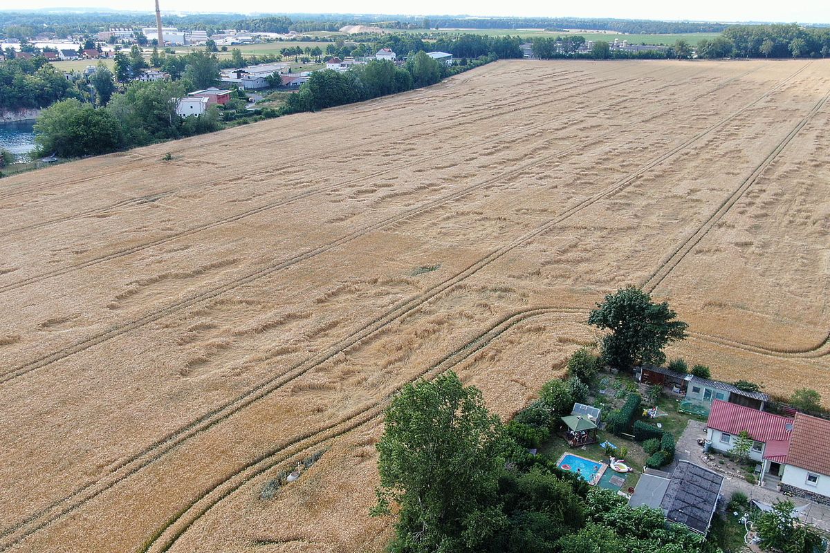 Grüner Winkel am See Taucha