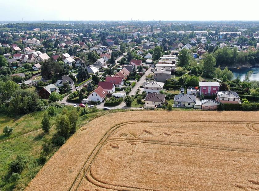Grüner Winkel am See Taucha