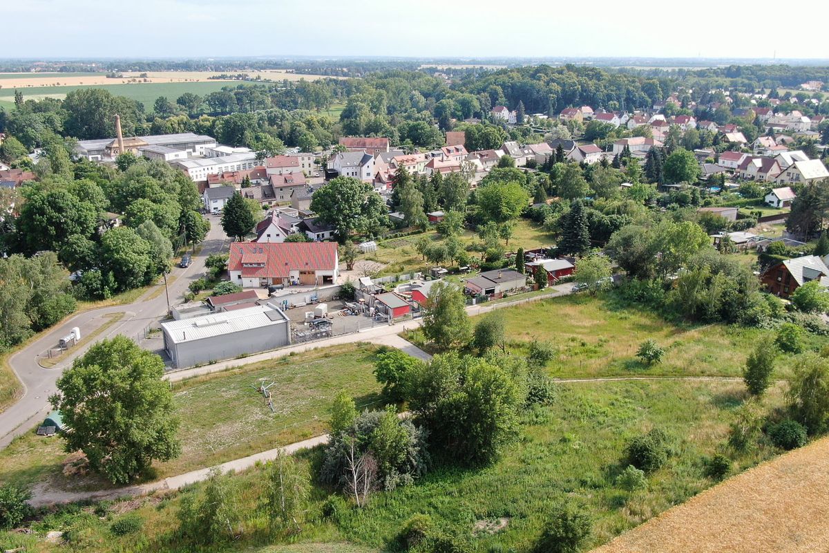Grüner Winkel am See Taucha