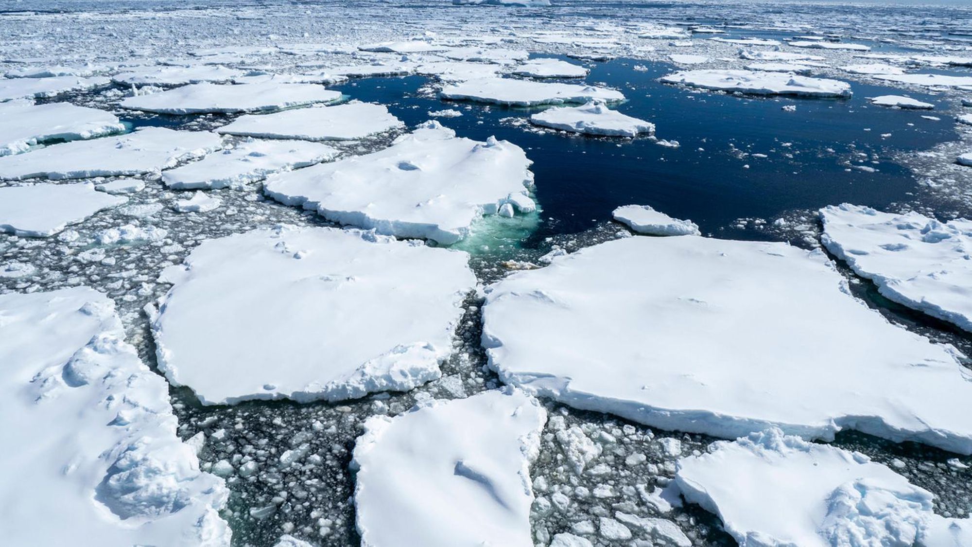 First-year sea ice with glacial ice trapped near Petermann Island, Antarctica, Polar Regions