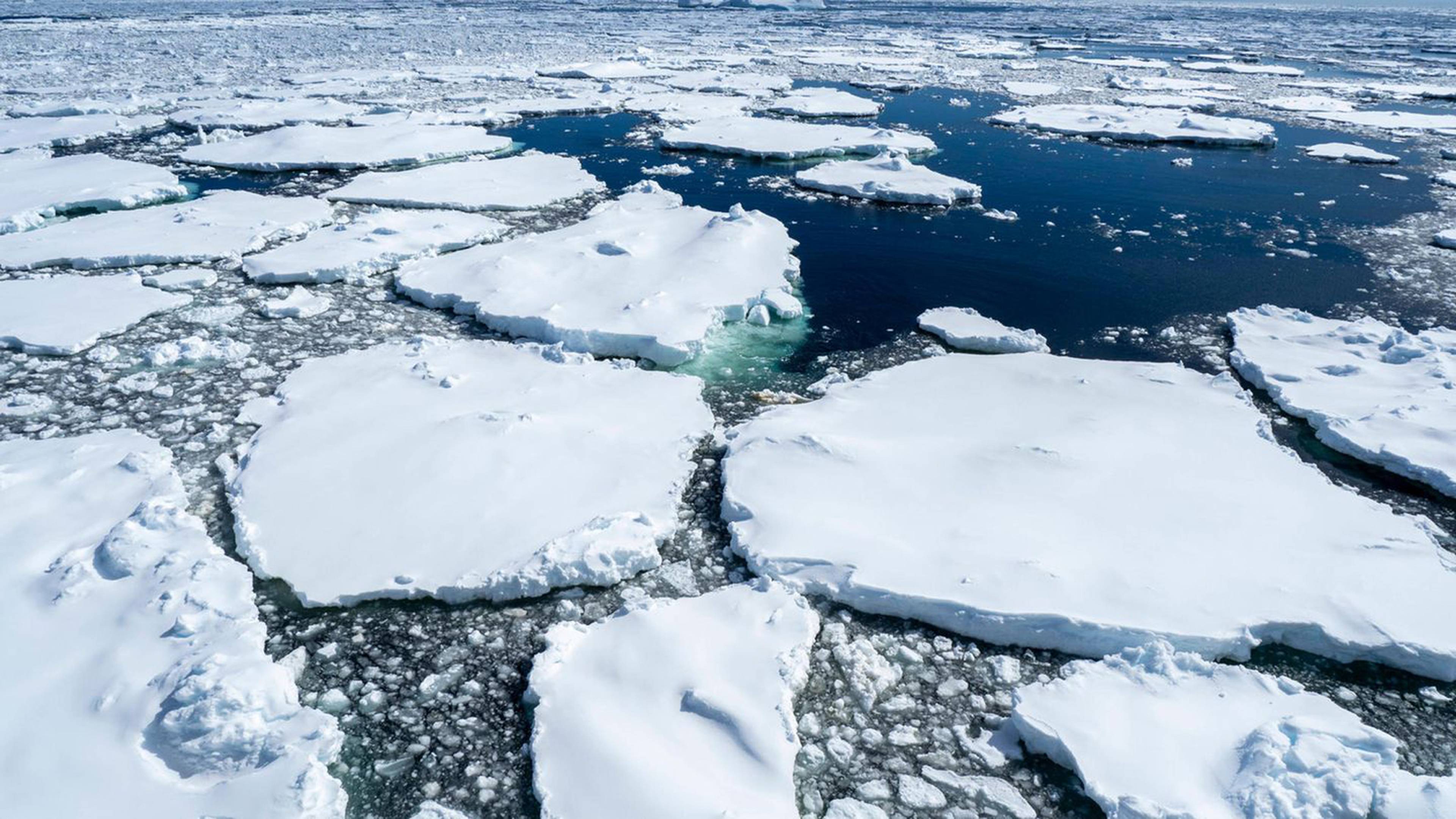 First-year sea ice with glacial ice trapped near Petermann Island, Antarctica, Polar Regions