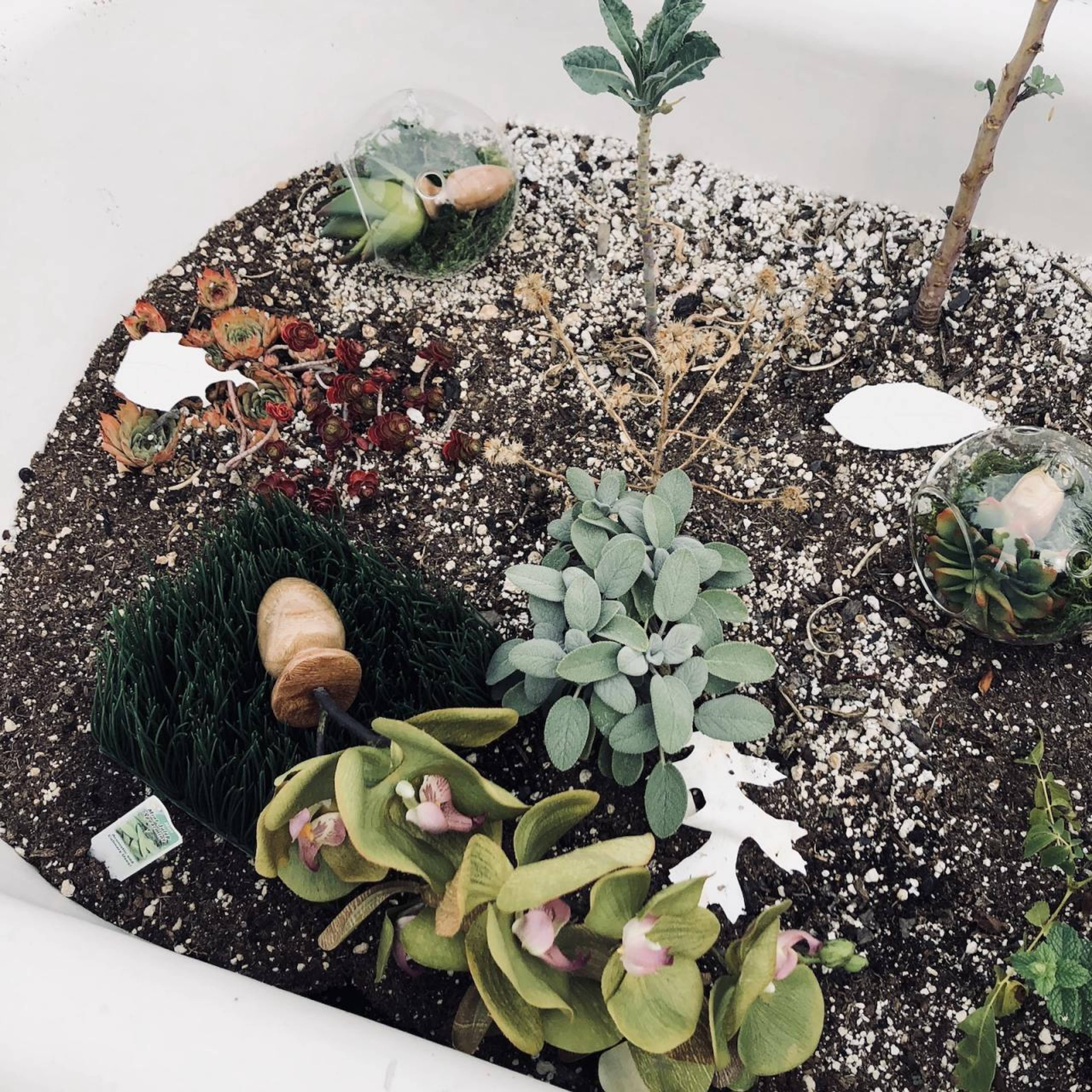 Genevieve Belleveau and Themba Alleynes, hand carved salvaged butt plugs. Photo: Dean Kissick