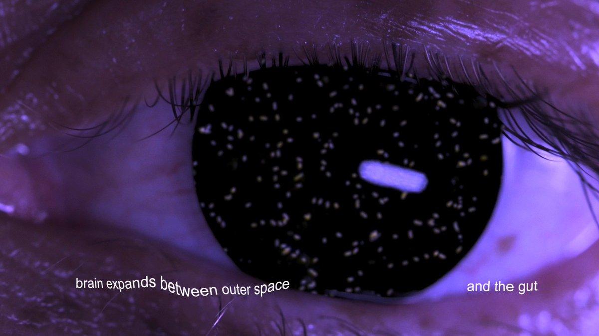 Still from Holobiont, 2018. "An egg is full of potential" 