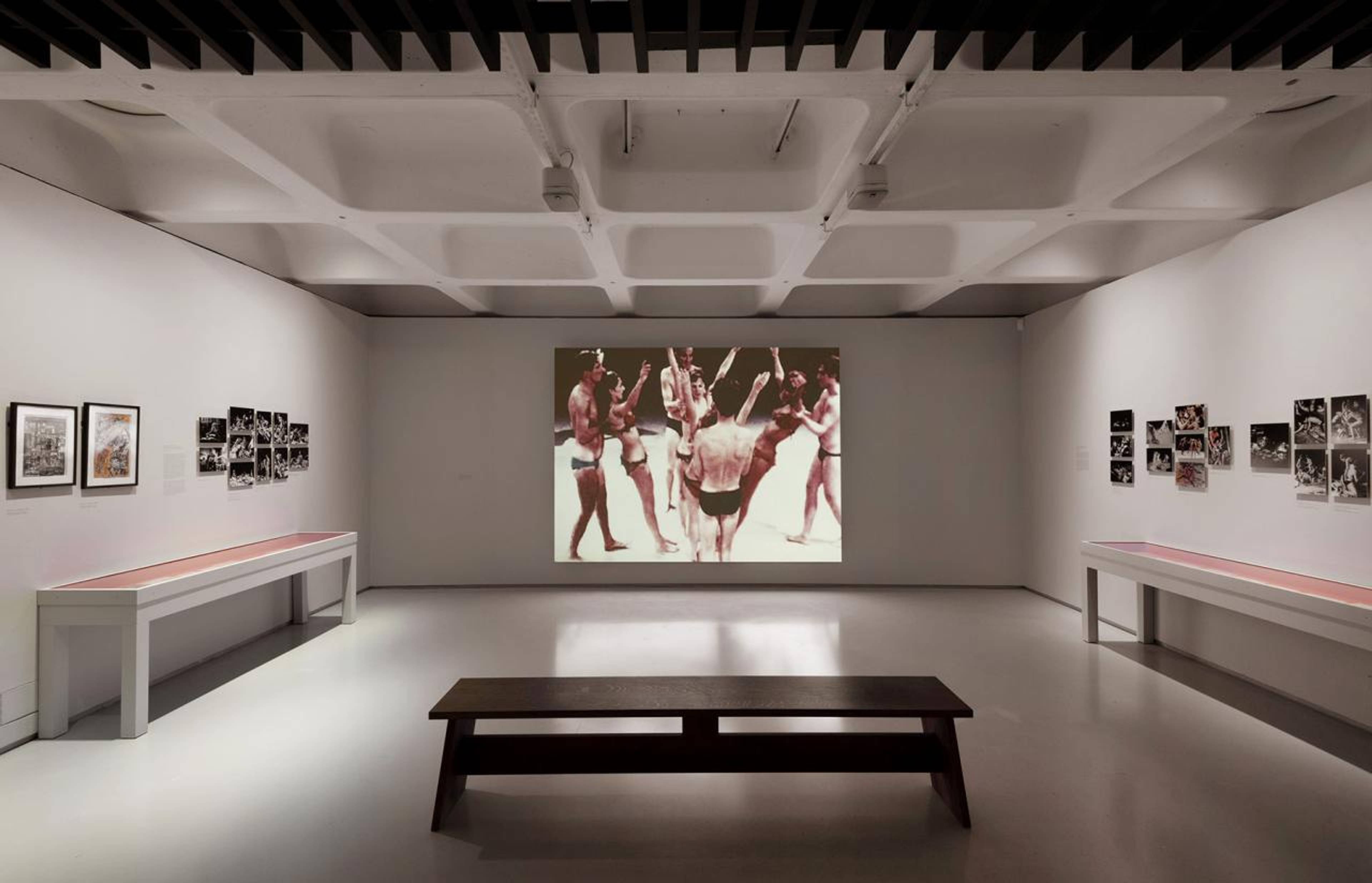 View of “Carolee Schneemann: Body Politics,” 2022