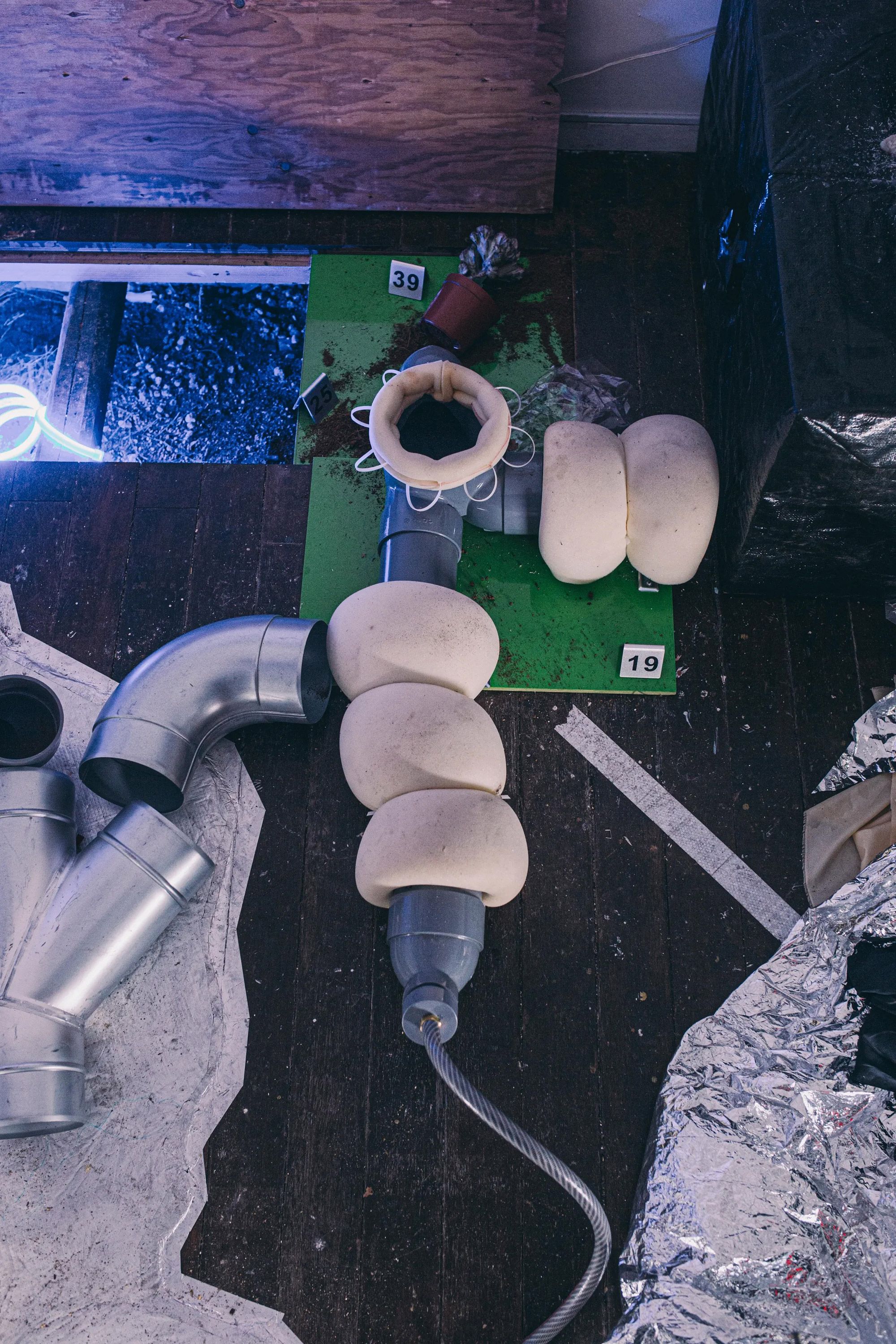 Shin Hanagata, CHIMERIA, 2025—. Installation view, Shinjuku Whitehouse, Tokyo, 2025. Photo: Rakutaro Ogiwara
