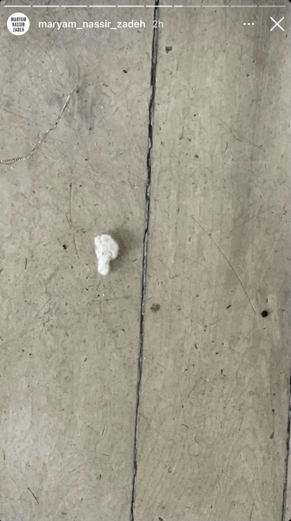 Screenshot of @maryam_nassir_zadeh Instagram story by author