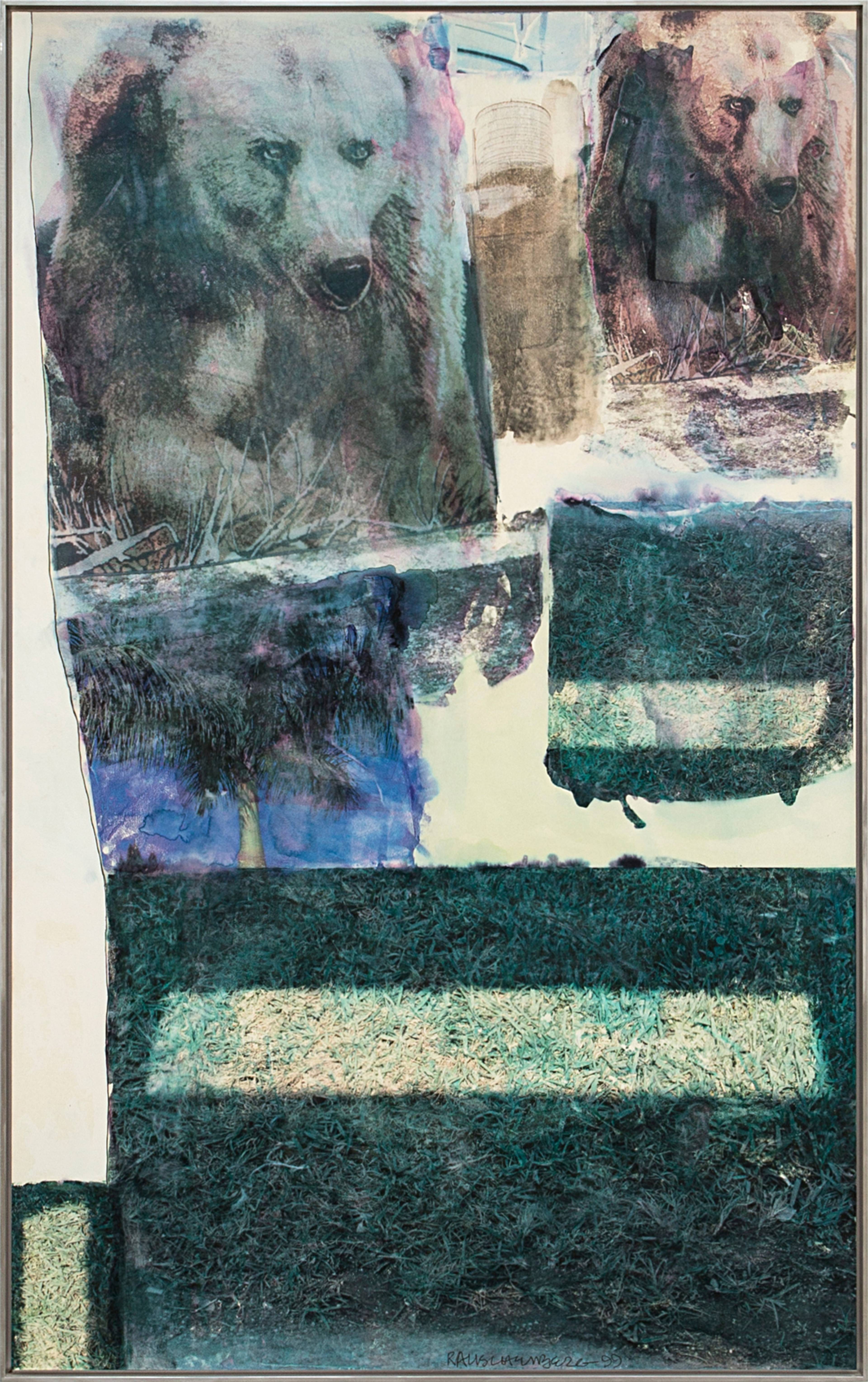 Robert Rauschenberg, Bear Grass, 1999