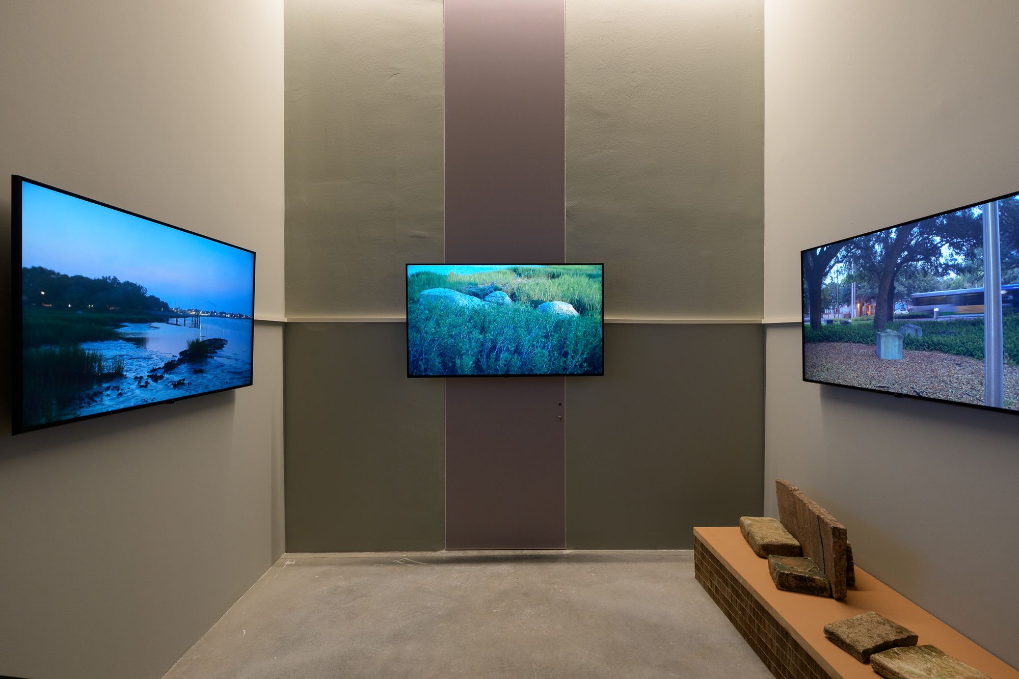 Works by Beverly Buchanan, “In Minor Keys”