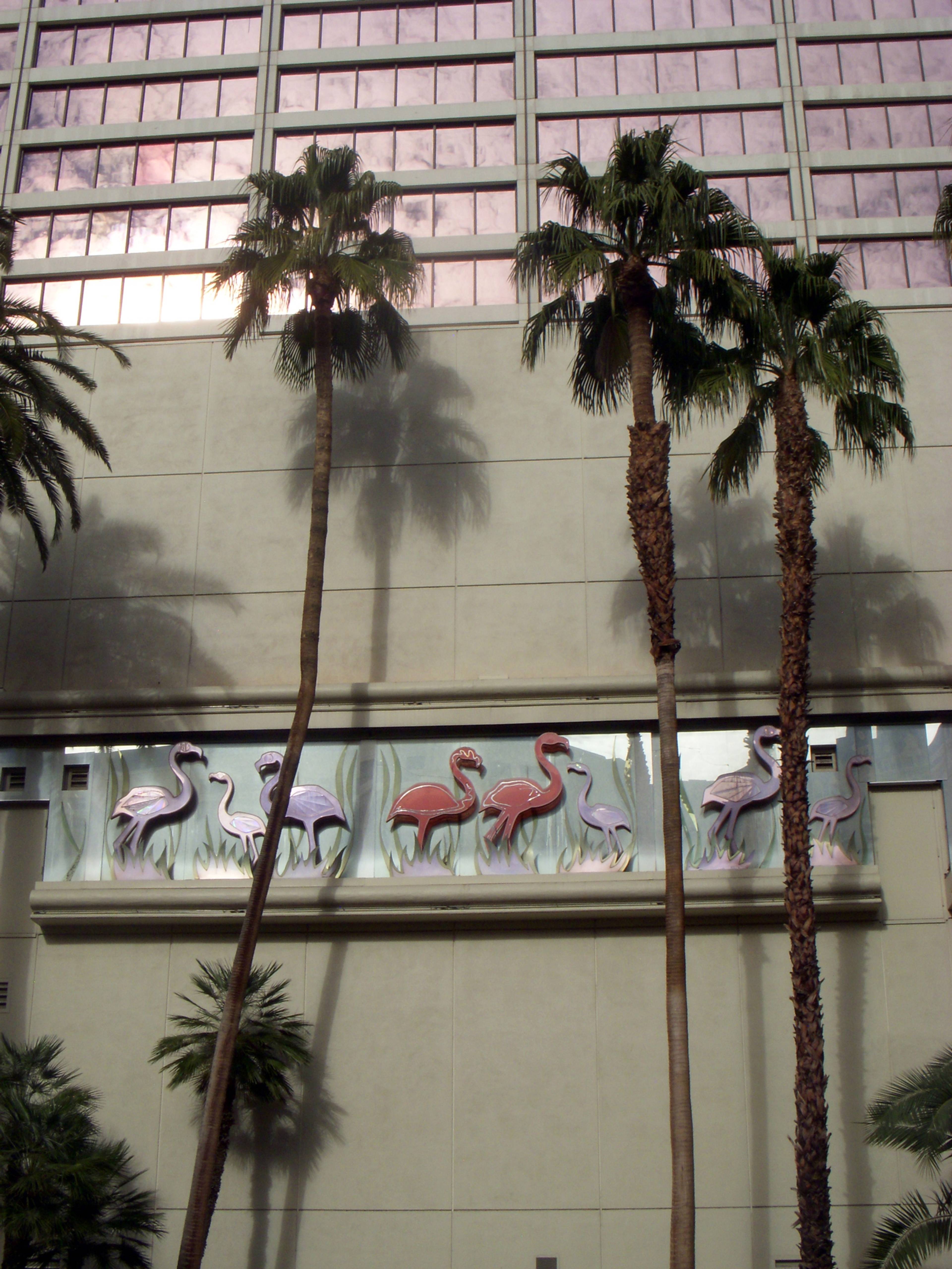 Photo: Adina Glickstein