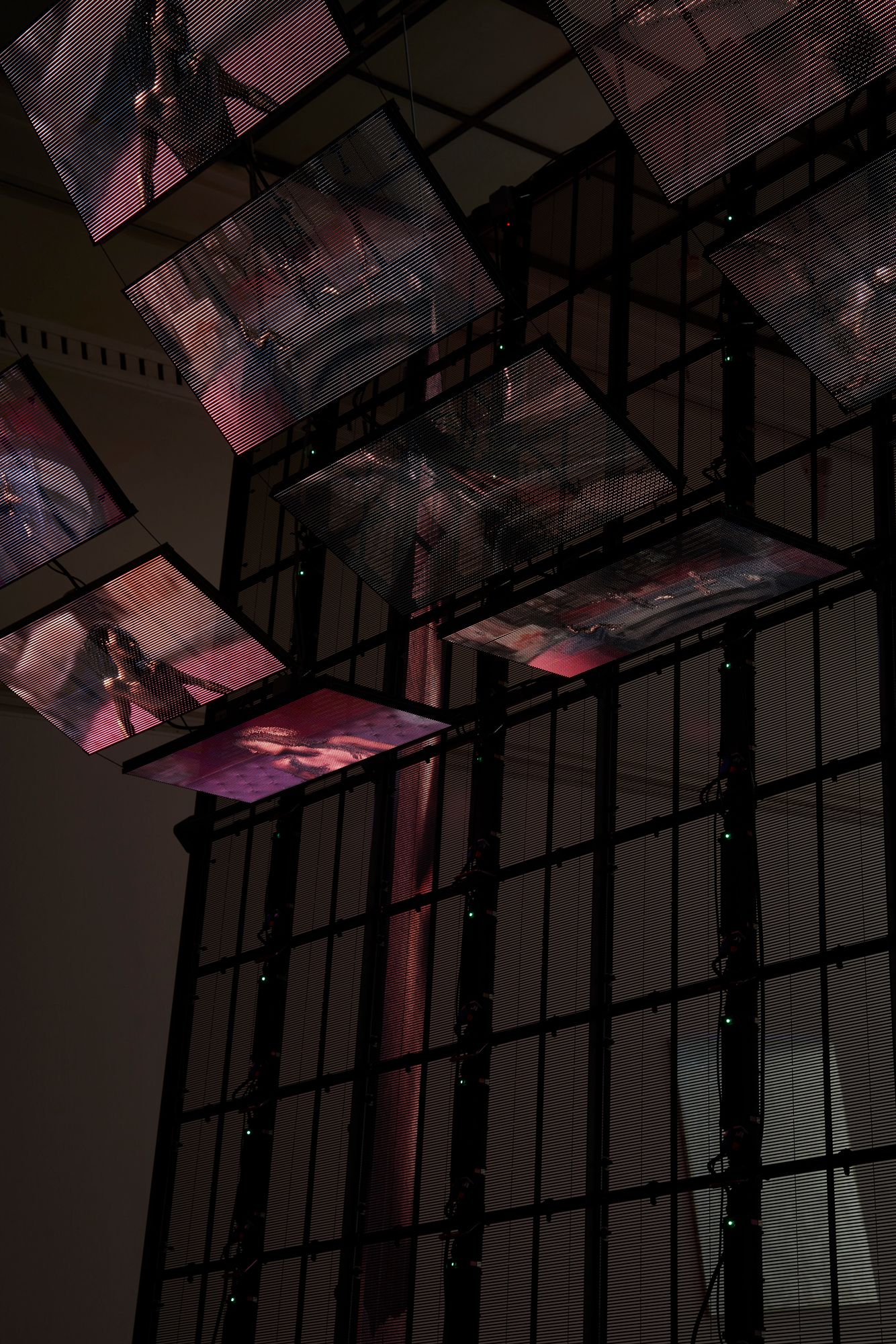 WangShui, Certainty of the Flesh (detail), 2023