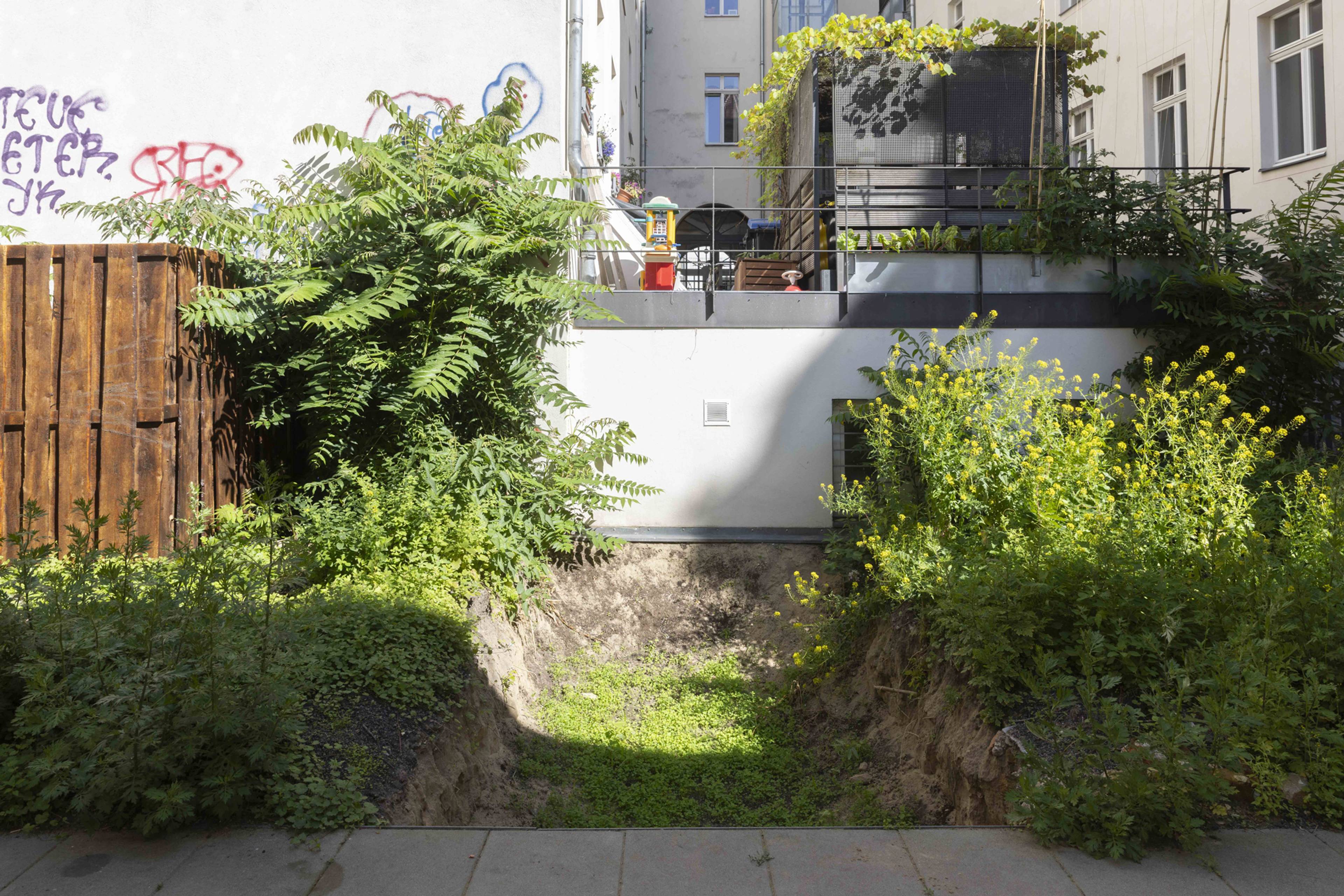 Nge Nom, The Ditch, 2025