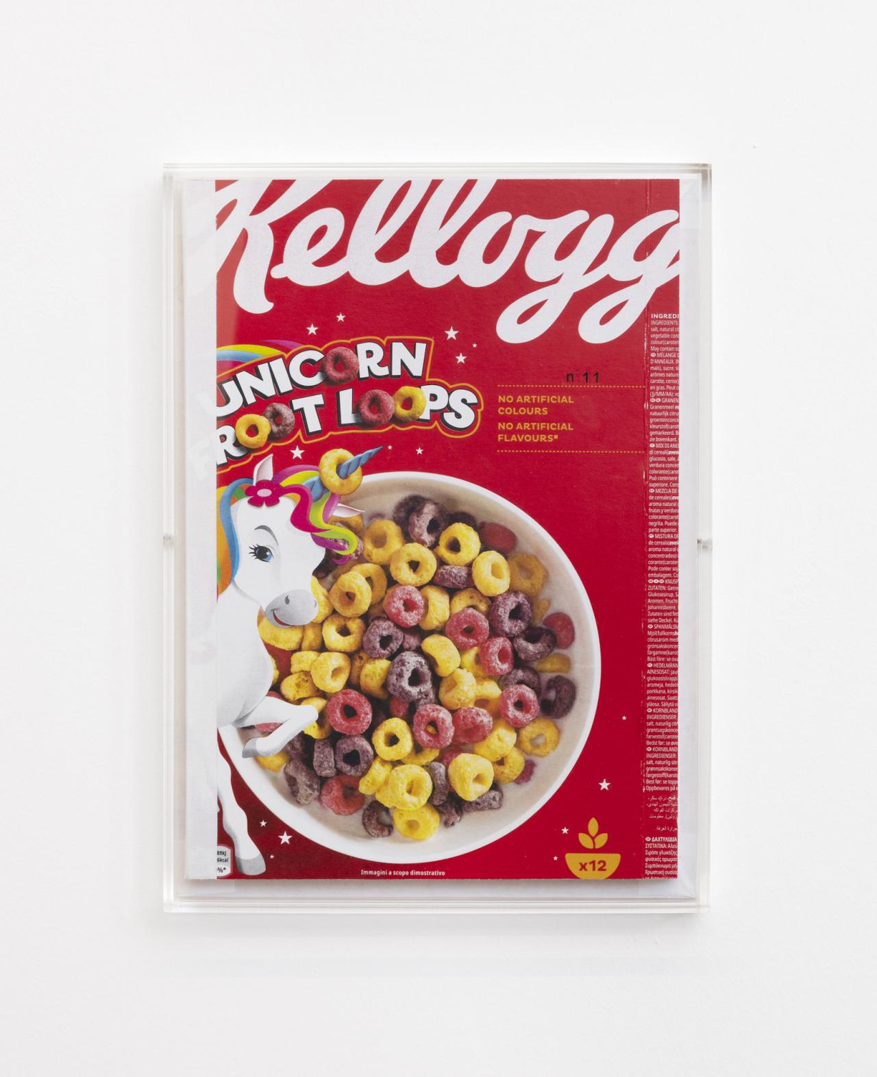 Heike-Karin Föll, n° 11 unicorn froot loops (Paraphrase als Form), 2020–23, mixed media, 30 x 22 x 2.5 cm