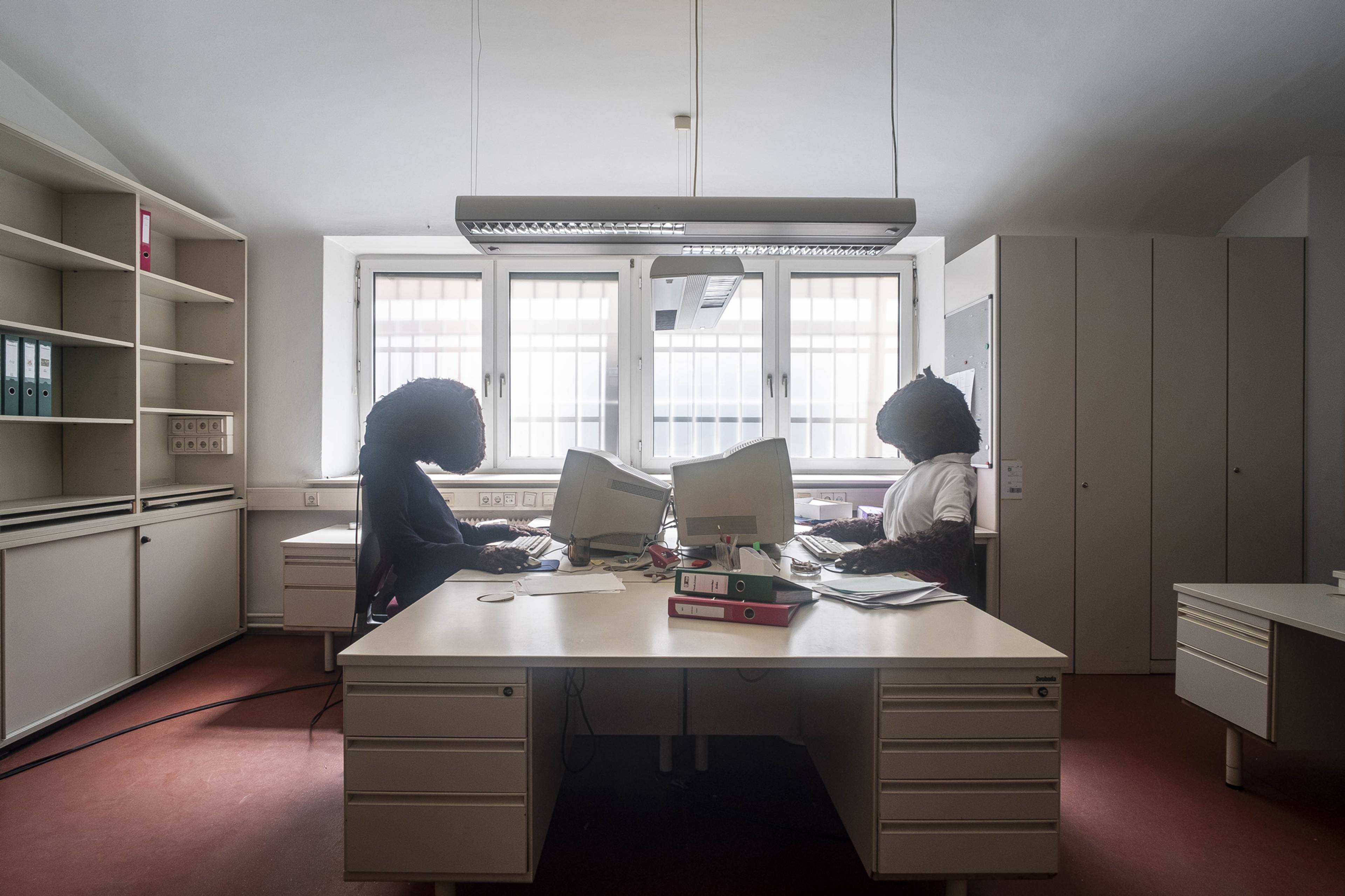 Angélique Aubrit & Ludovic Beillard, Besser ein gesunder Esel als ein krankes Pferd