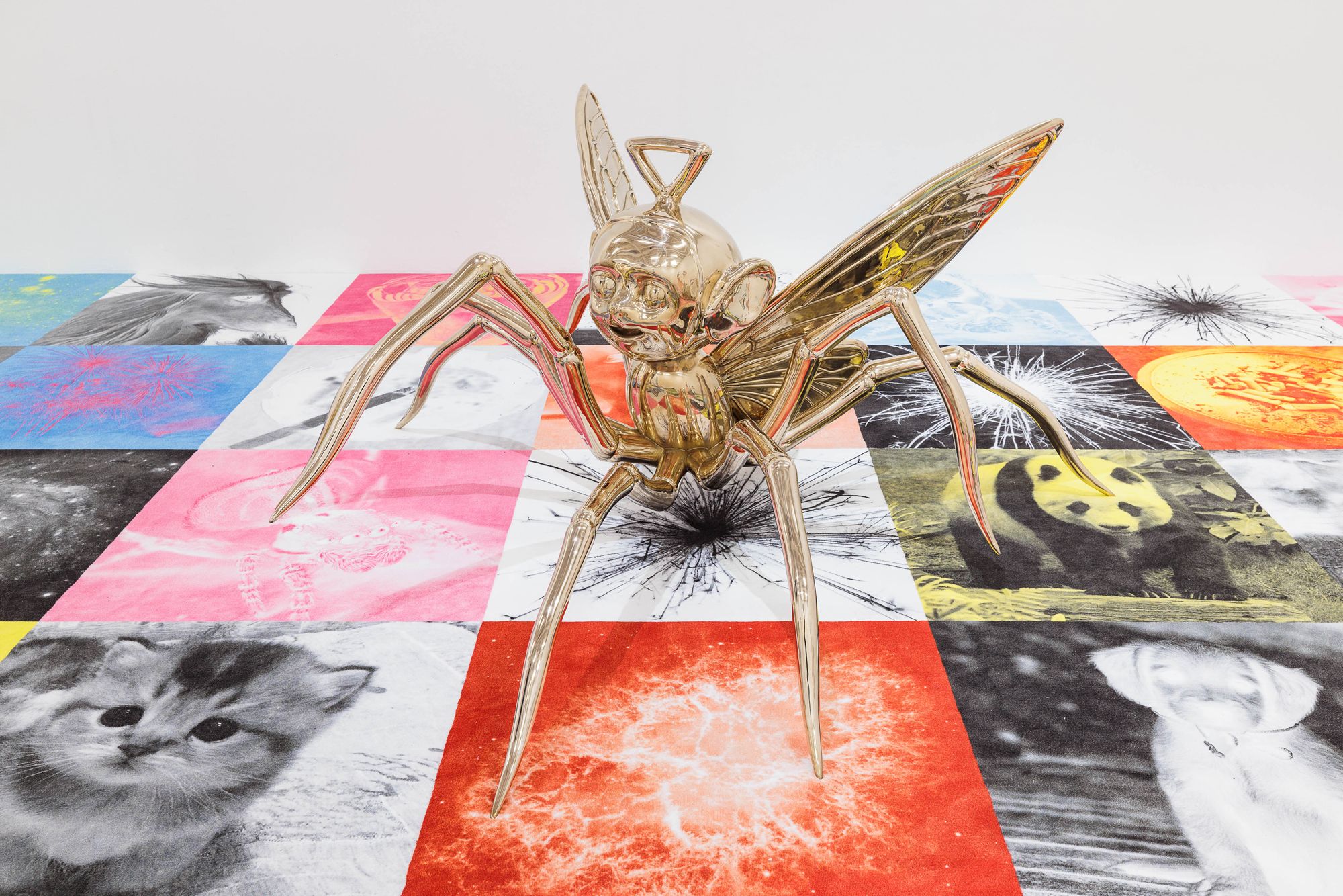 Esben Weile Kjær, Spider, 2024