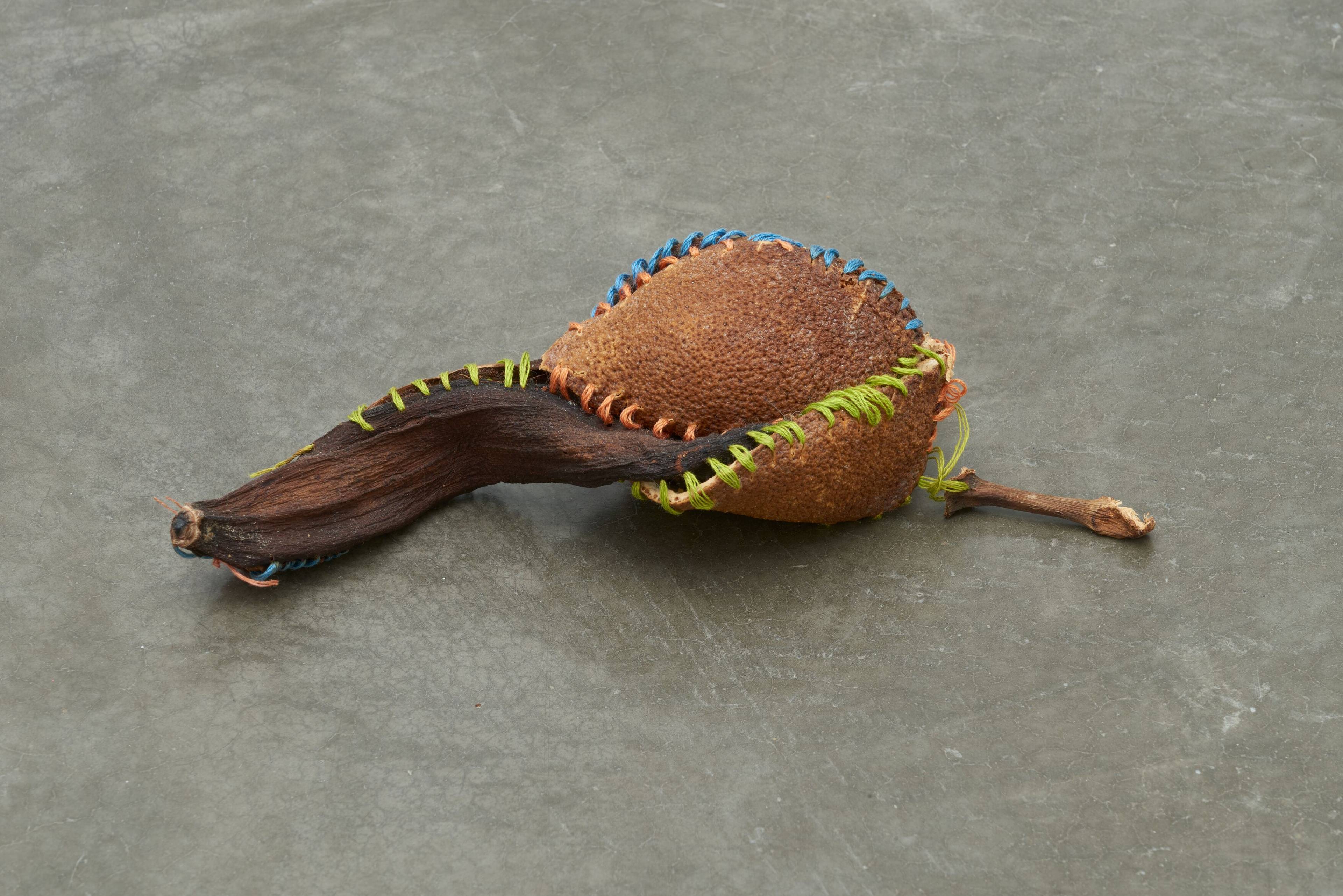 Zoe Leonard, Strange Fruit, 1992-97, detailed