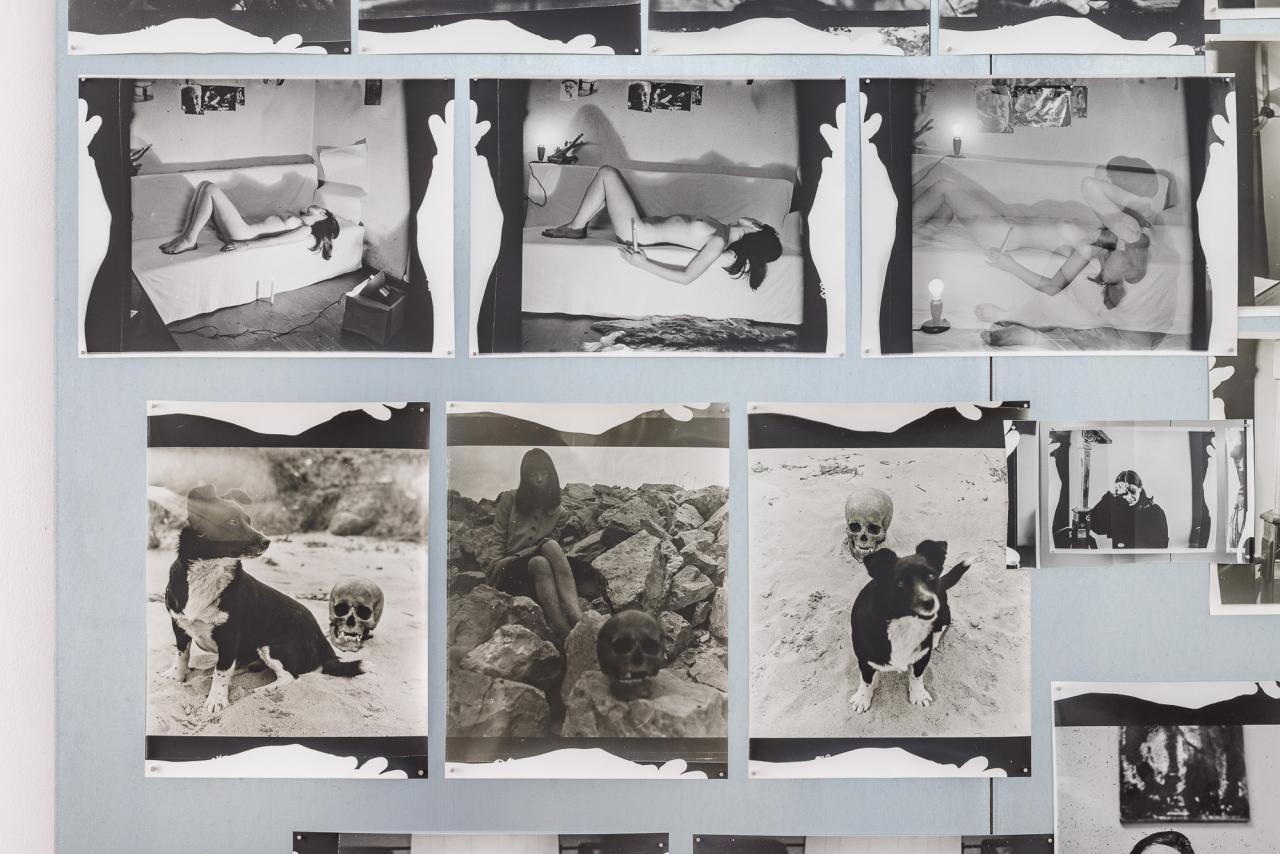 Sophie Thun, Entered the Elusive Archive of Zenta Dzividzinska (Summer 2021) (detail), 2021–23