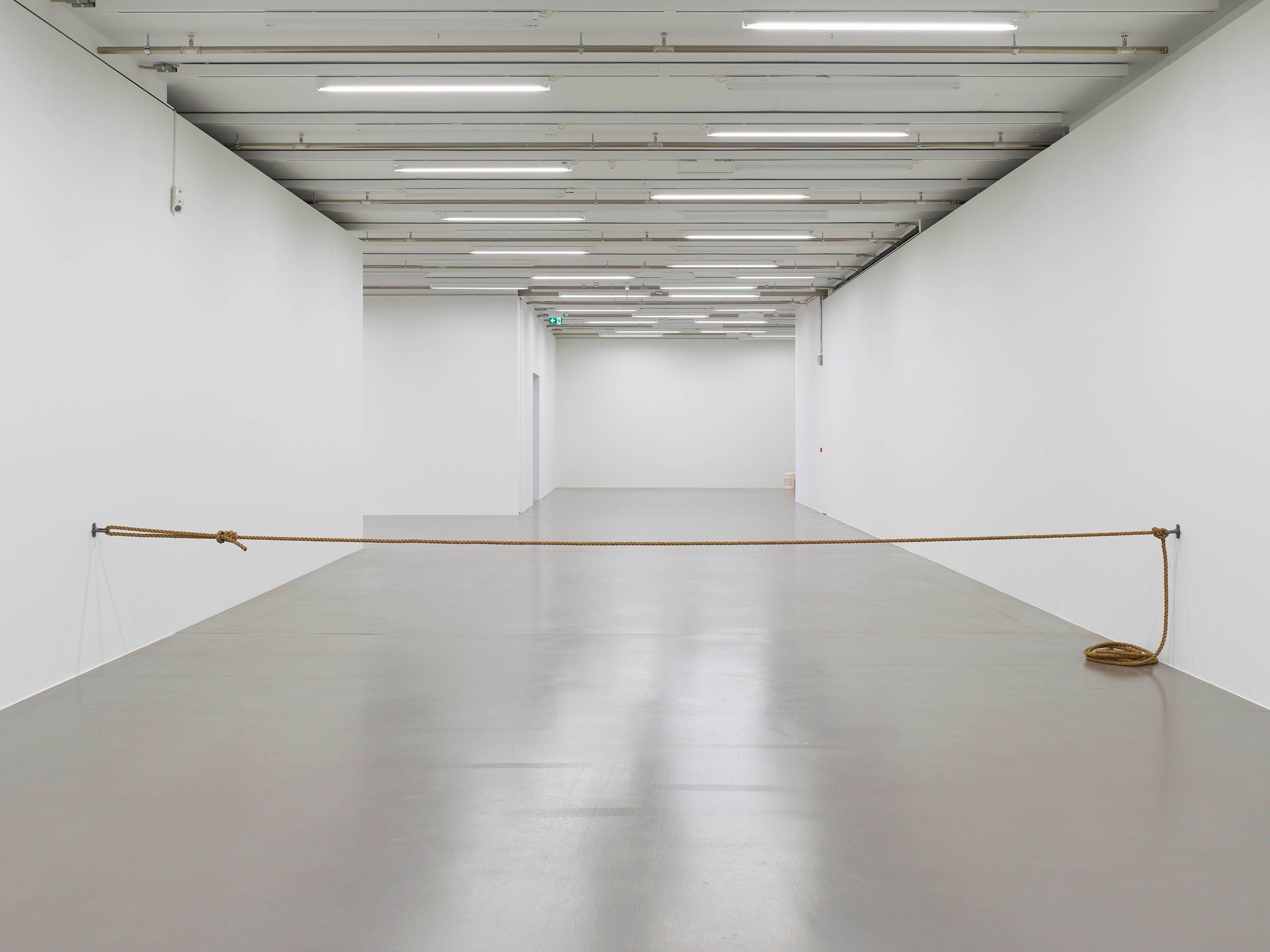 Cameron Rowland, Bug trap, 2023