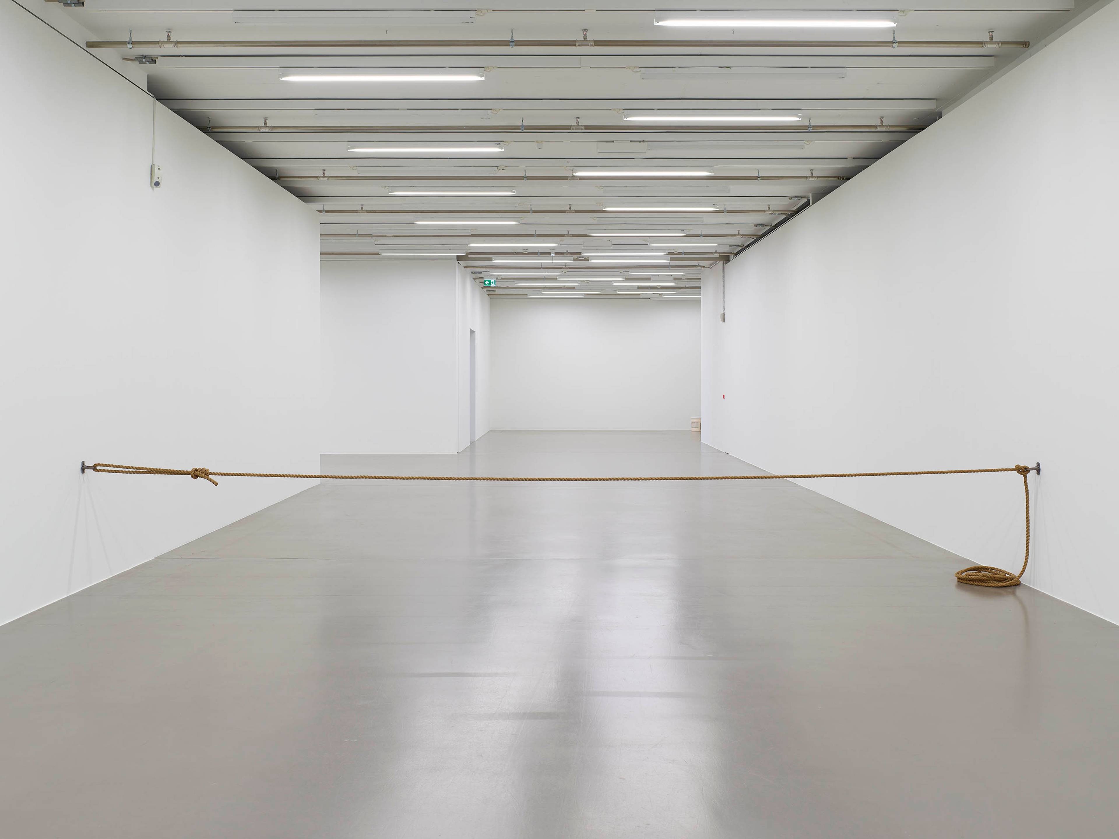 Cameron Rowland, Bug trap, 2023