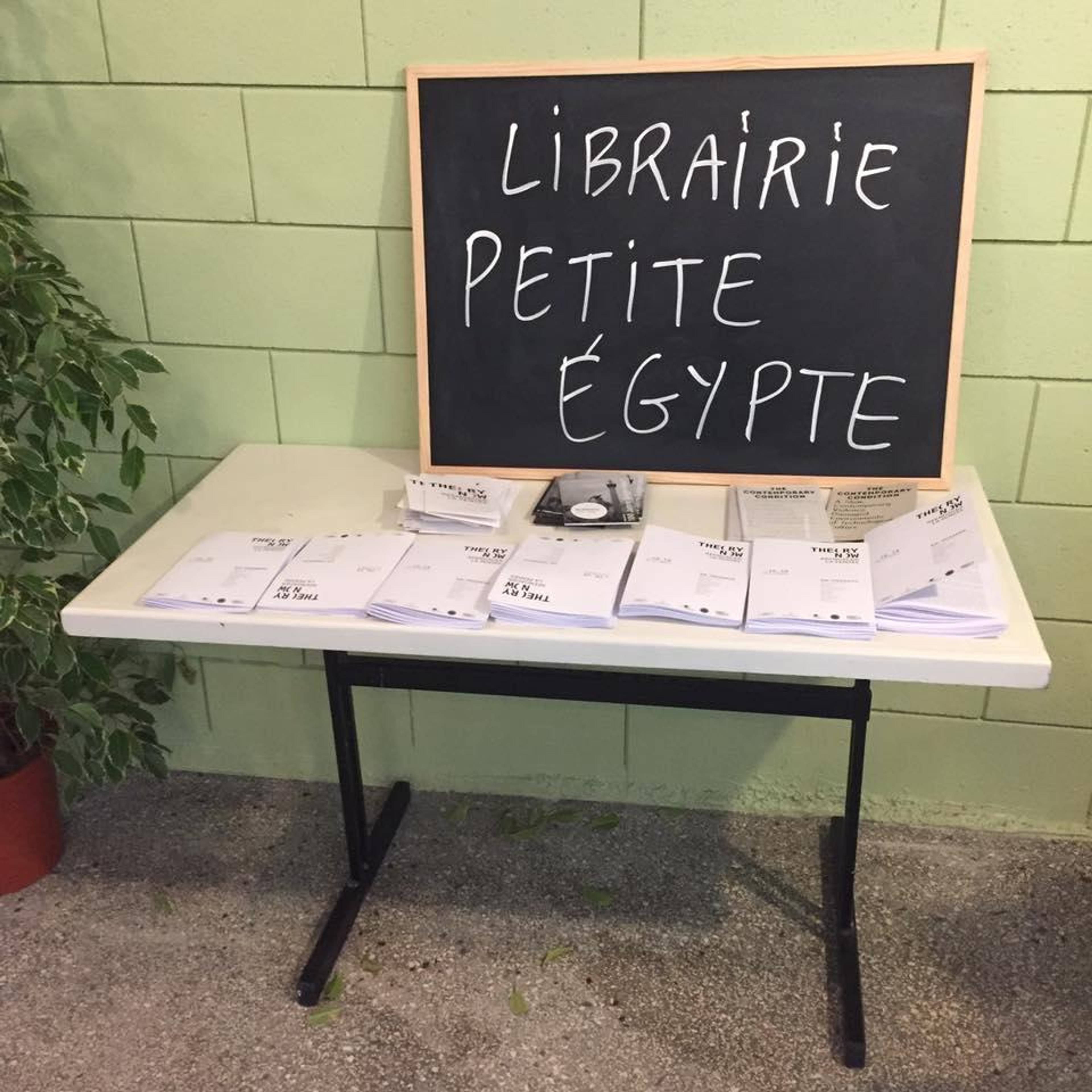 The bookstore Petite Égypte as part of &quot;Theory Now&quot;, November 2016