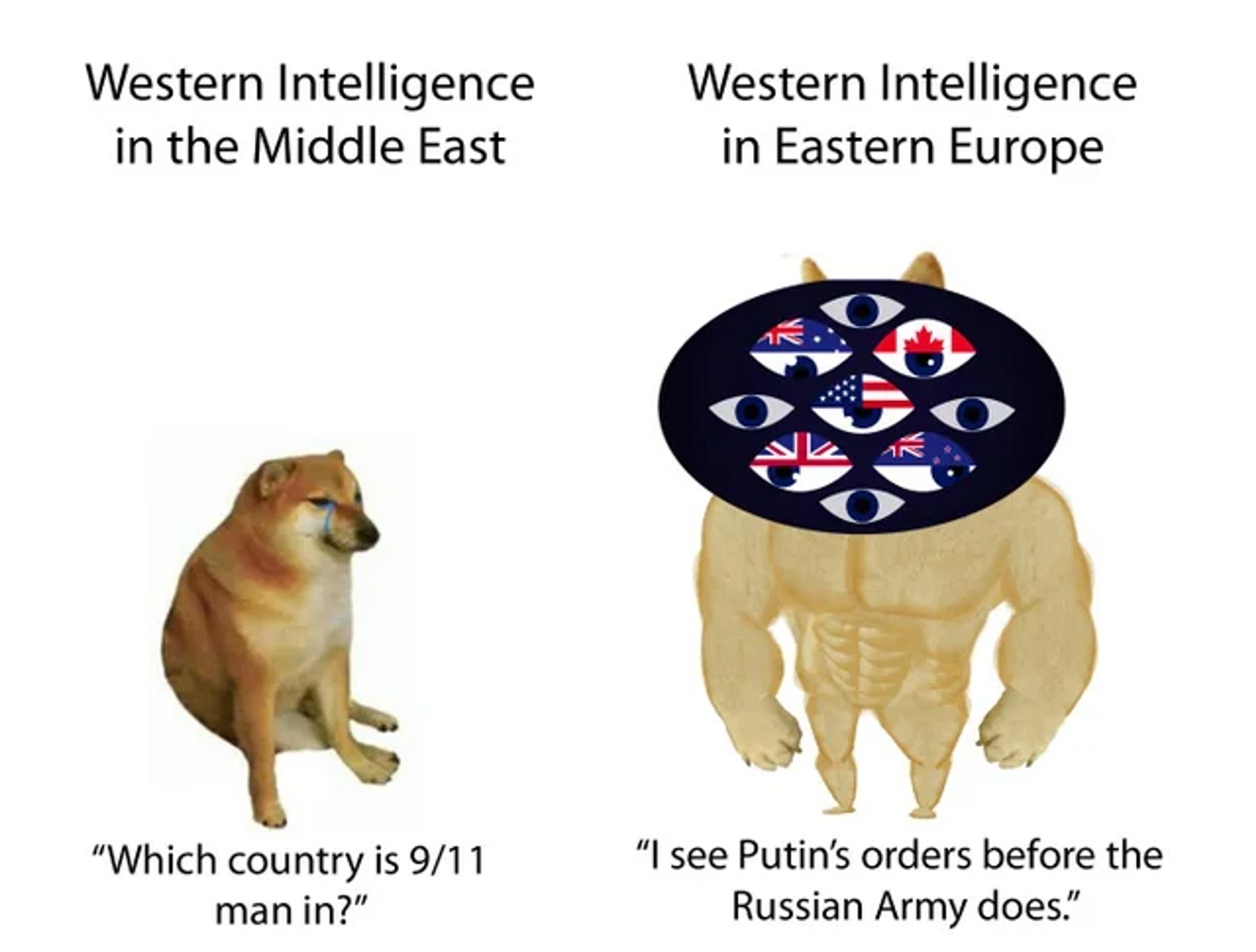 Intelligence dogs meme. Source: @YN_nope, Twitter, 12nd of April 2022
