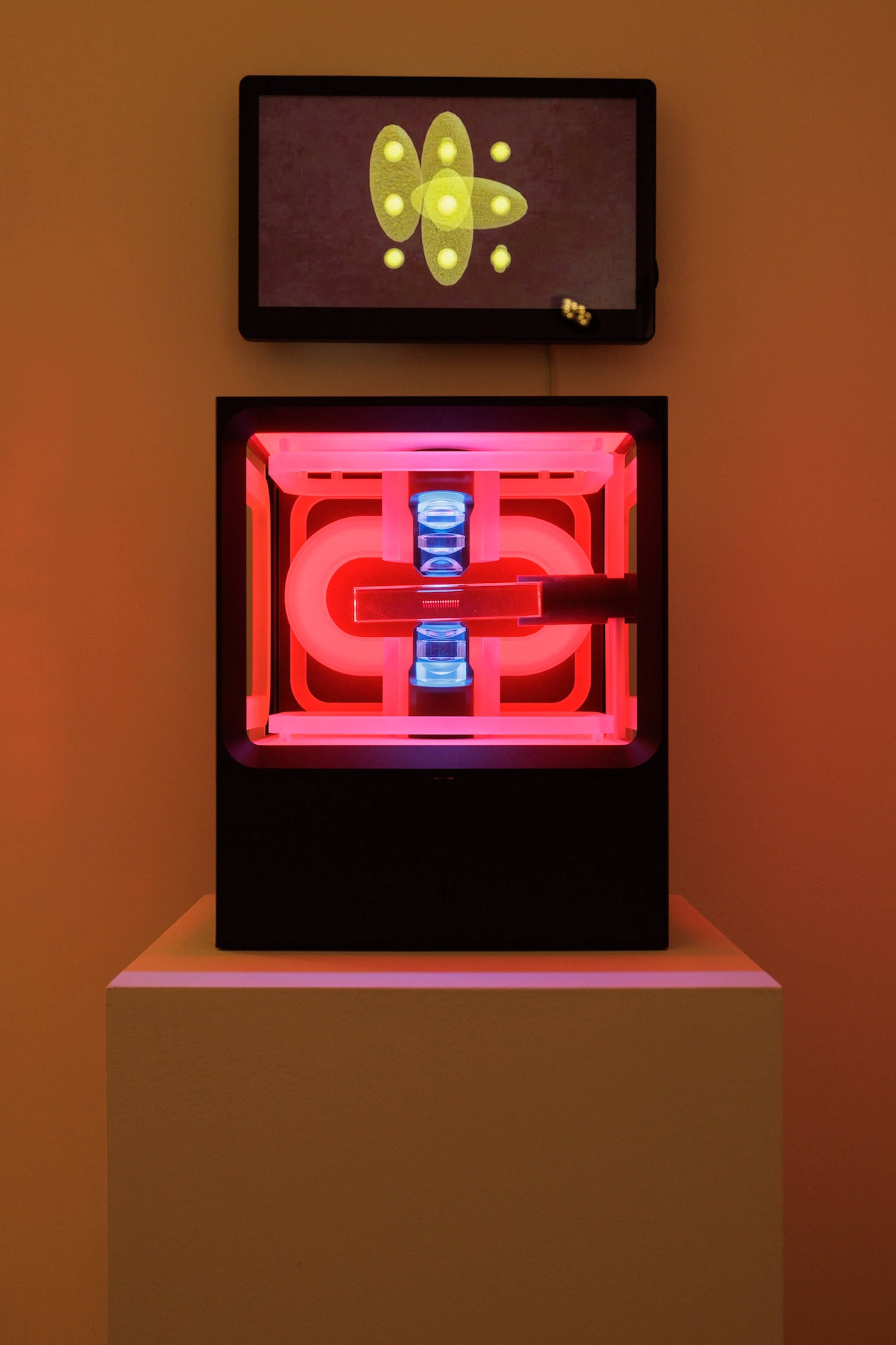 Neutralatom Quantencomputing Demonstrator, 2025 (below); Tamiko Thiel with /p (above)