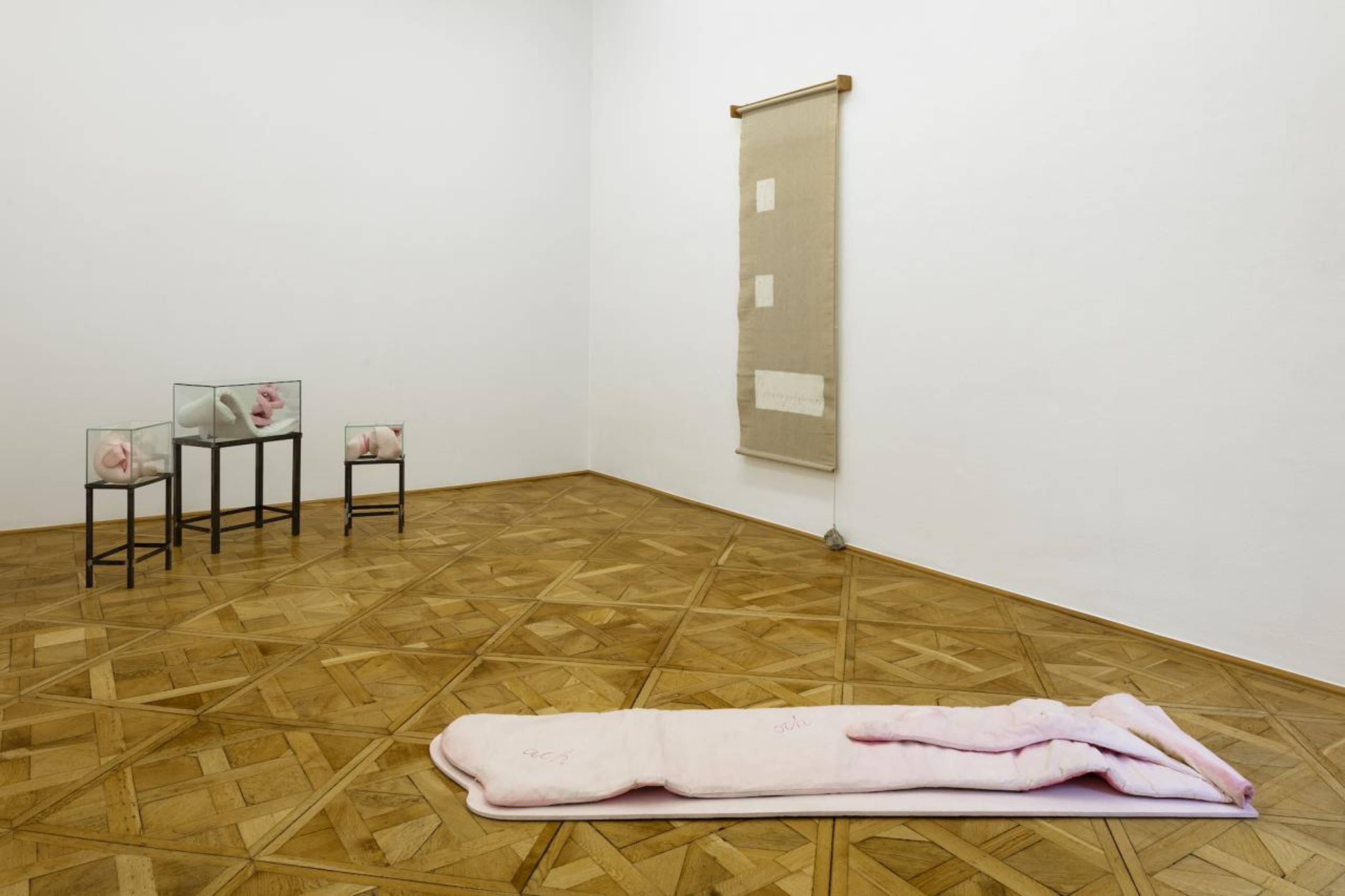 View of “Maria Pinińska-Bereś: Meadow of Your Body,” curated by Jarosław Suchan, Galerie nächst St. Stephan Rosemarie Schwarzwälder, Vienna, 2022