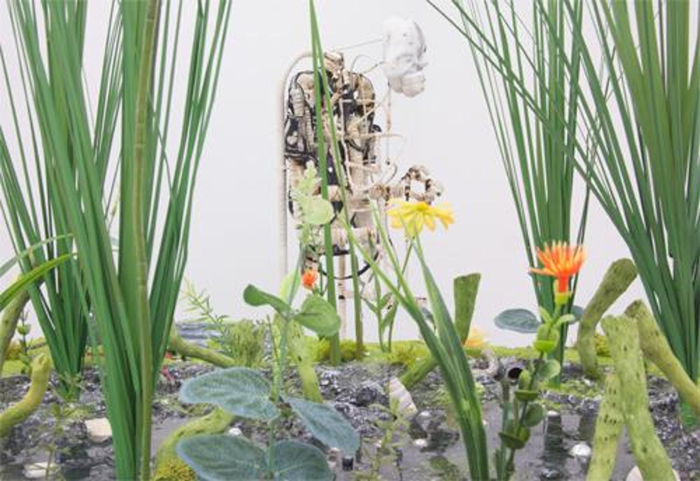 Image Import 1