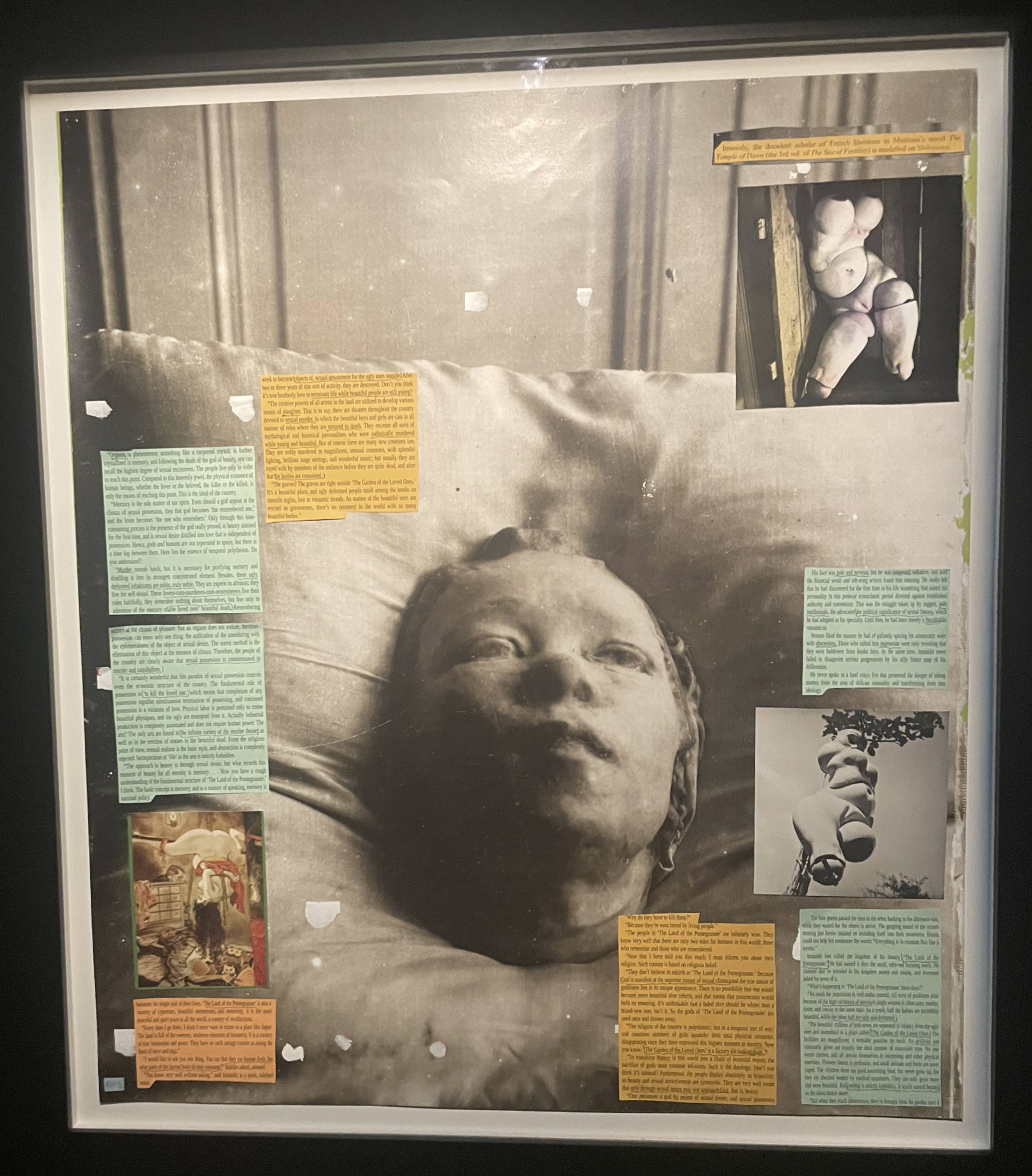 Richard Hawkins, Decadent Scholar, 2018